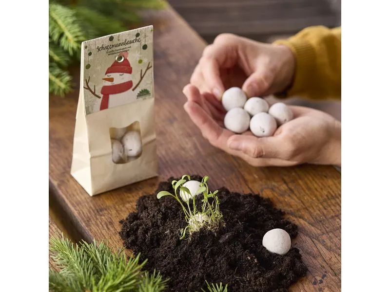 Die Stadtgärtner Schneemannbäuche Weiss, 19 Wildblumensamen