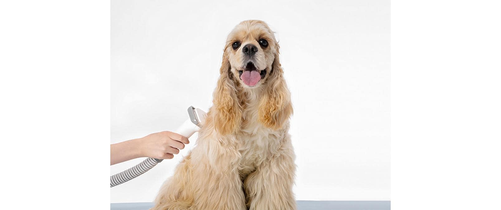 Neakasa P0 Pro Hundeschermaschine, 5in1 mit Staubsauger