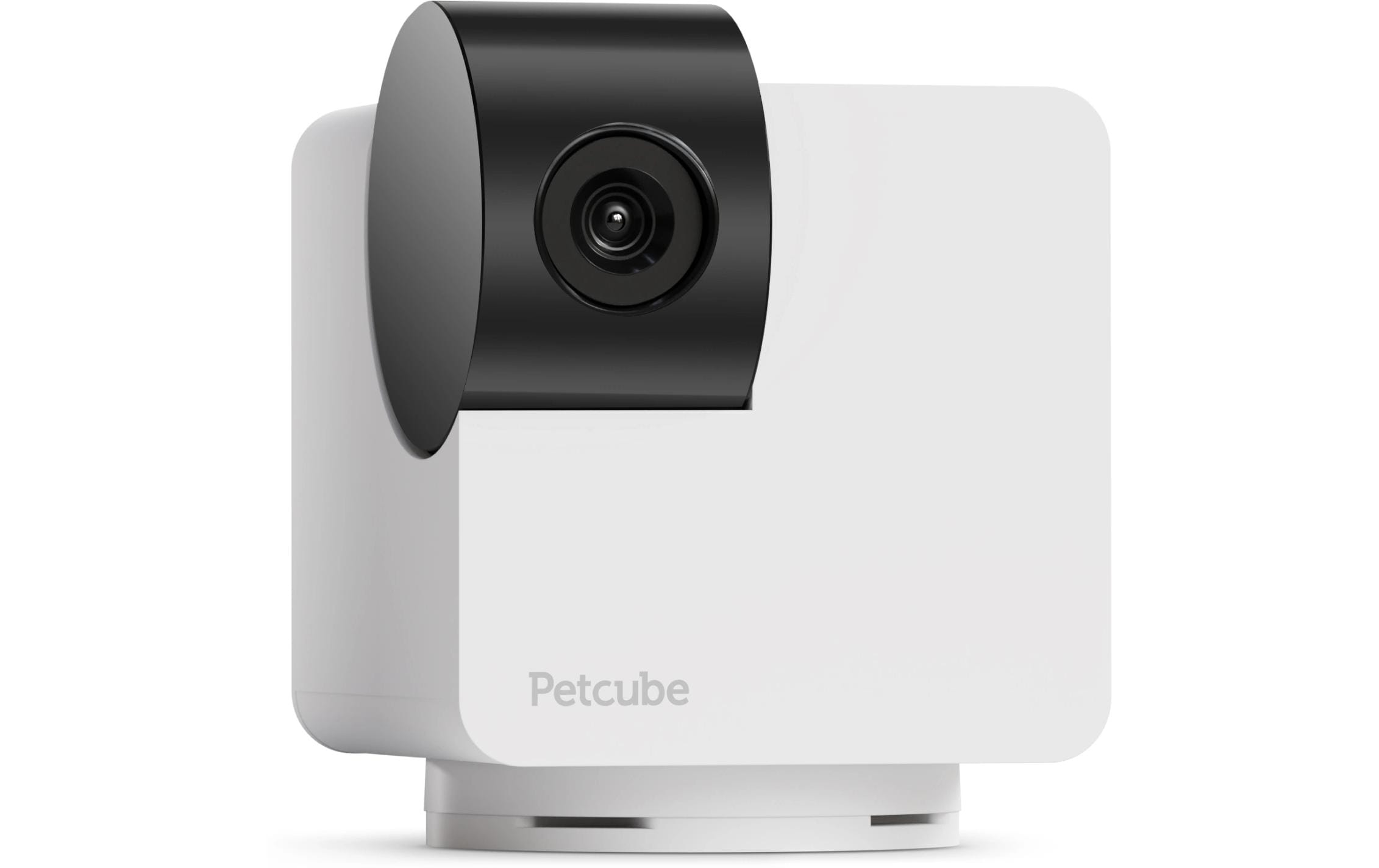 Petcube Haustierkamera 360 Cam Petcube Haustierkamera 360 Cam