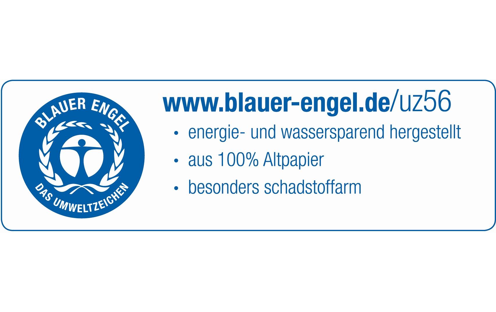 Franken T-Karten Grösse 2, Hellblau, 100 Stück