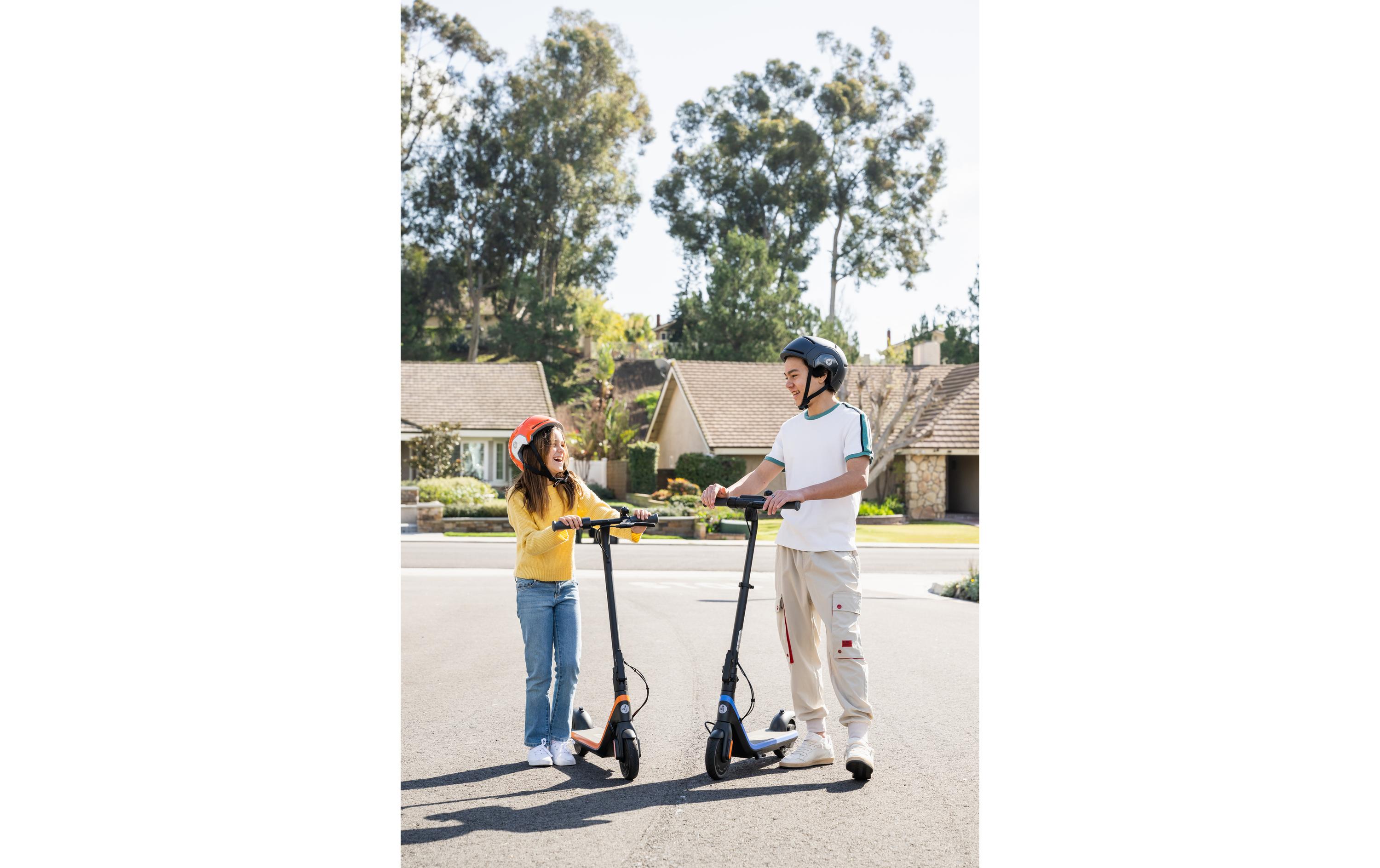 Segway-Ninebot E-Scooter Kickscooter C2 Pro E ZING