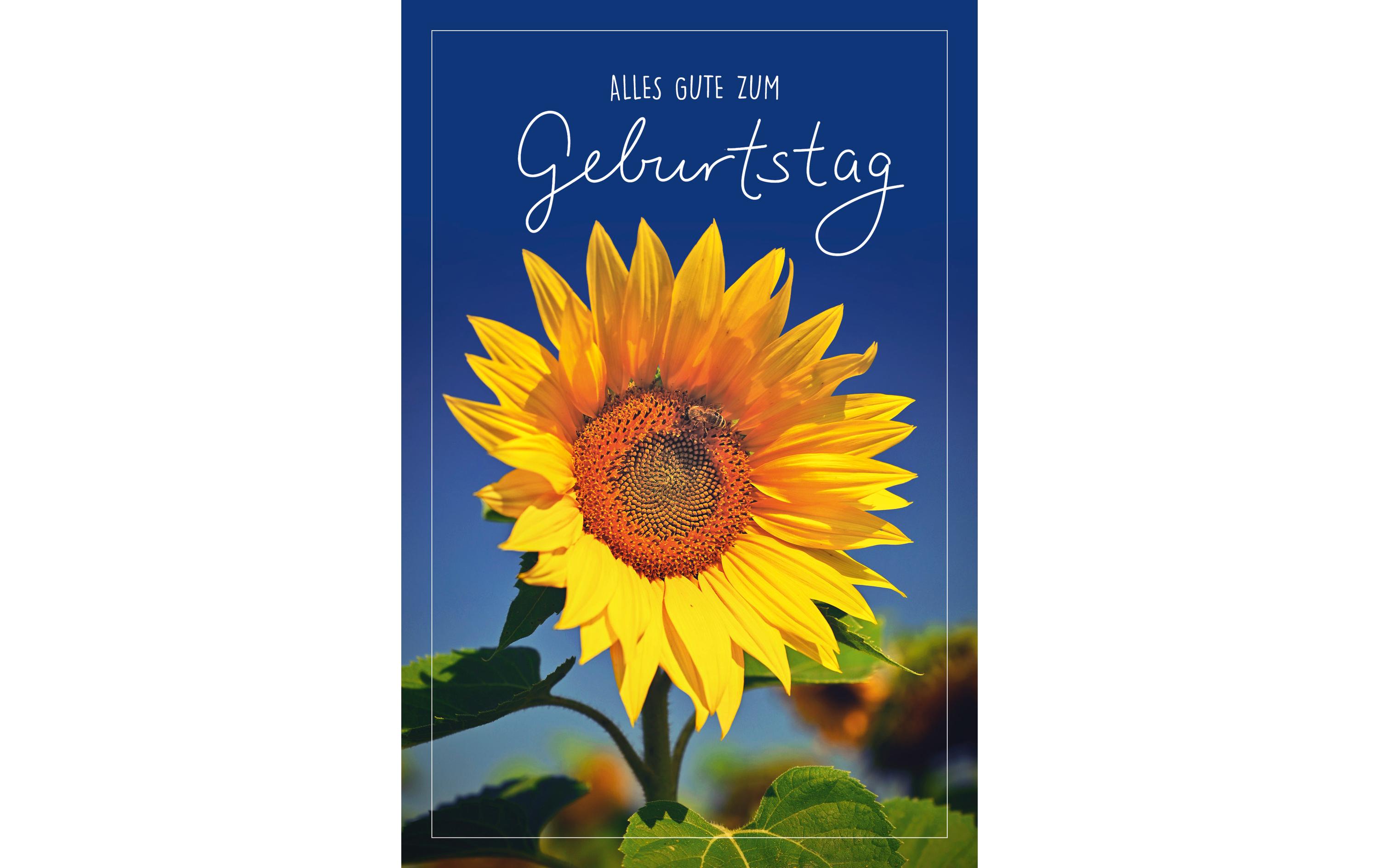 ABC Glückwunschkarte Geburtstag 12.5 x 17.6 cm