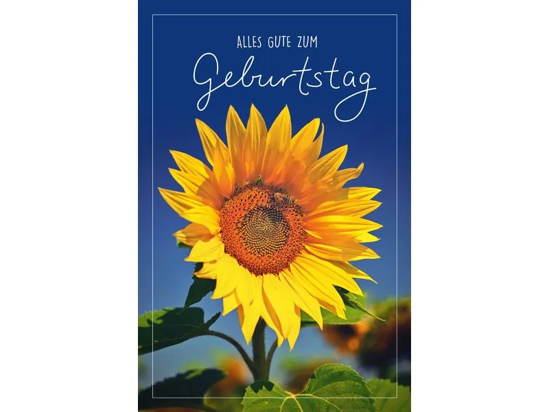 ABC Glückwunschkarte Geburtstag 12.5 x 17.6 cm ABC Glückwunschkarte Geburtstag 12.5 x 17.6 cm