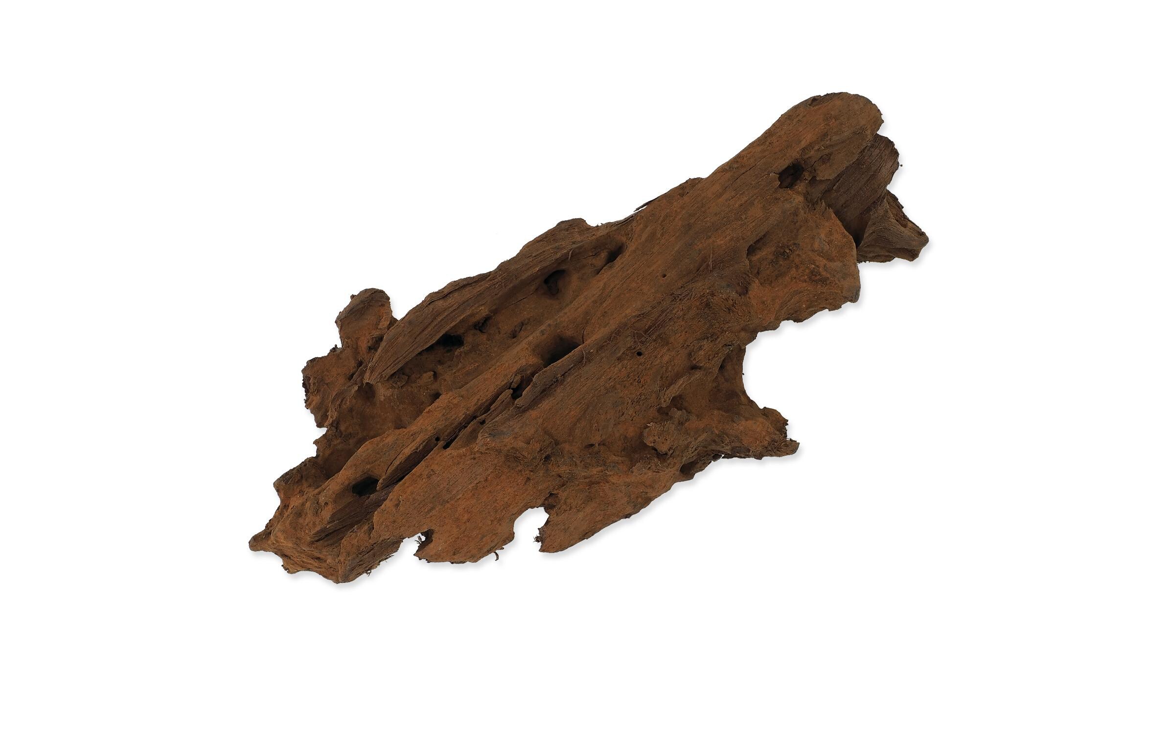 Repti Planet Drift Wood Bulk XS, 19-23 cm Repti Planet Drift Wood Bulk XS, 19-23 cm