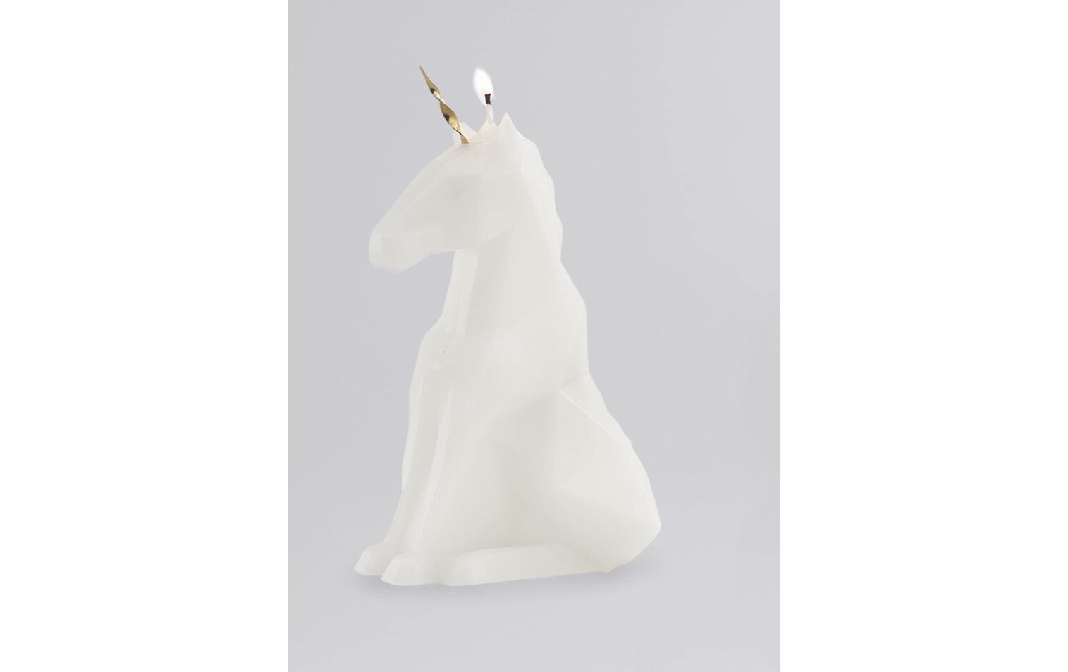 54Celsius Kerze PyroPet Einar Weiss