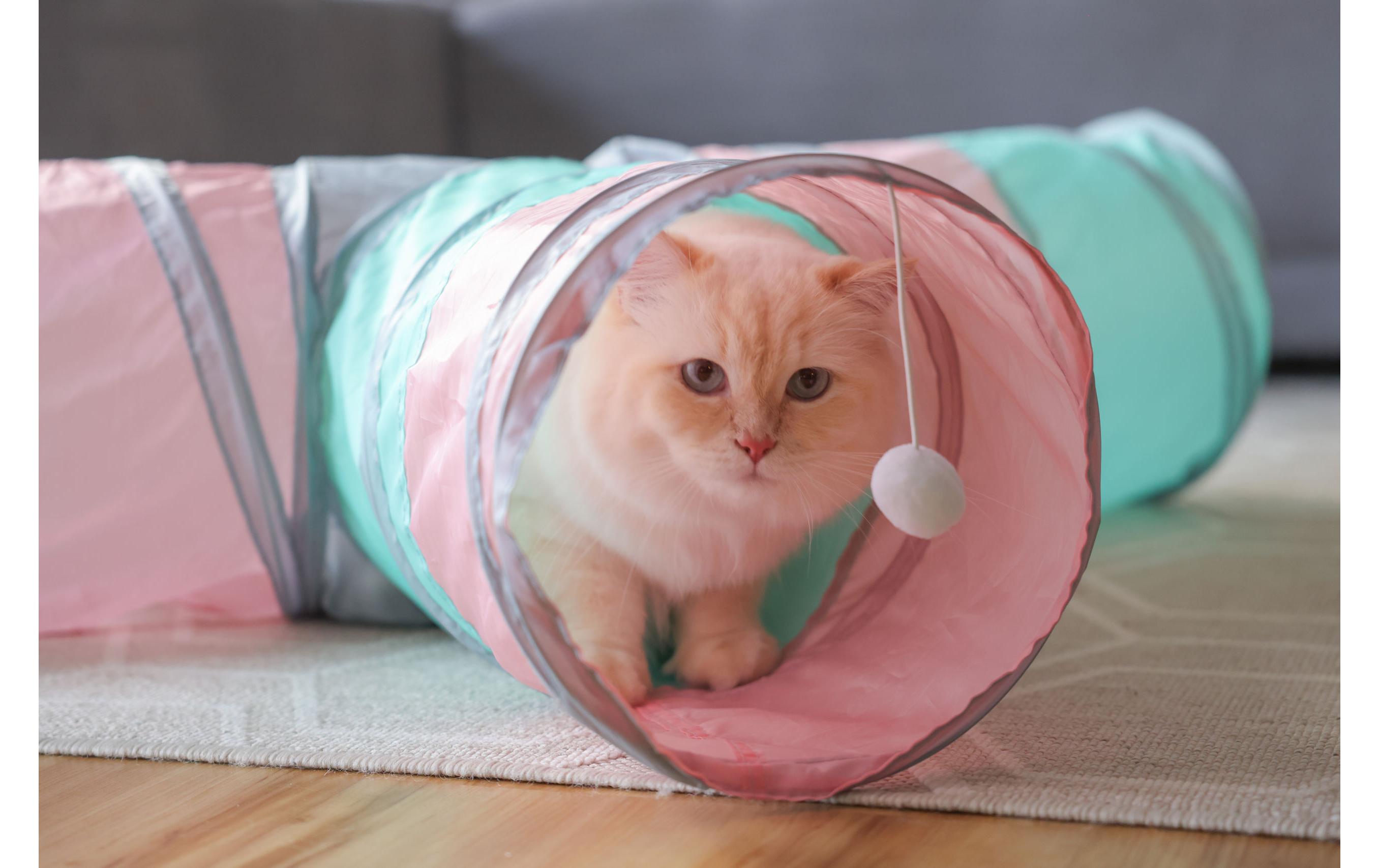 Kerbl Katzen-Spieltunnel Triangle Ø 25 cm x 80 cm x 50 cm