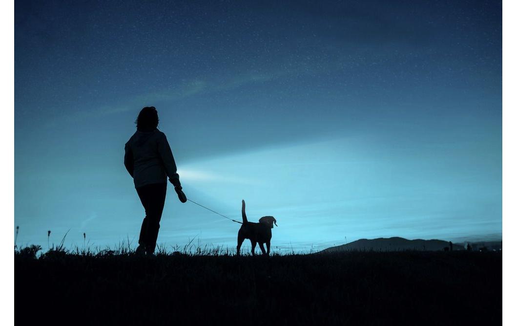 Ansmann Taschenlampe Daily Use 50B