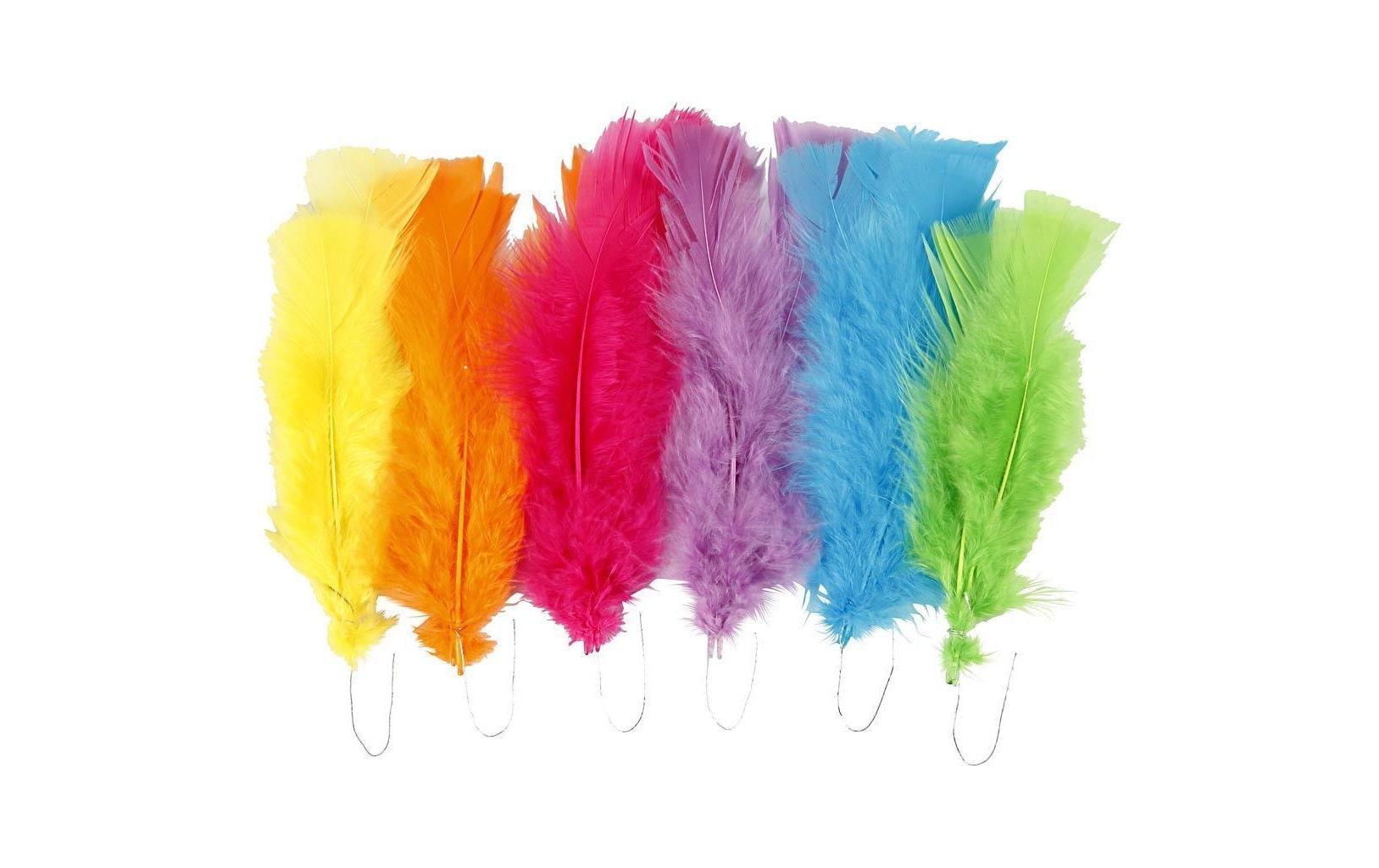 Creativ Company Federn Mehrfarbig, 18 Stück