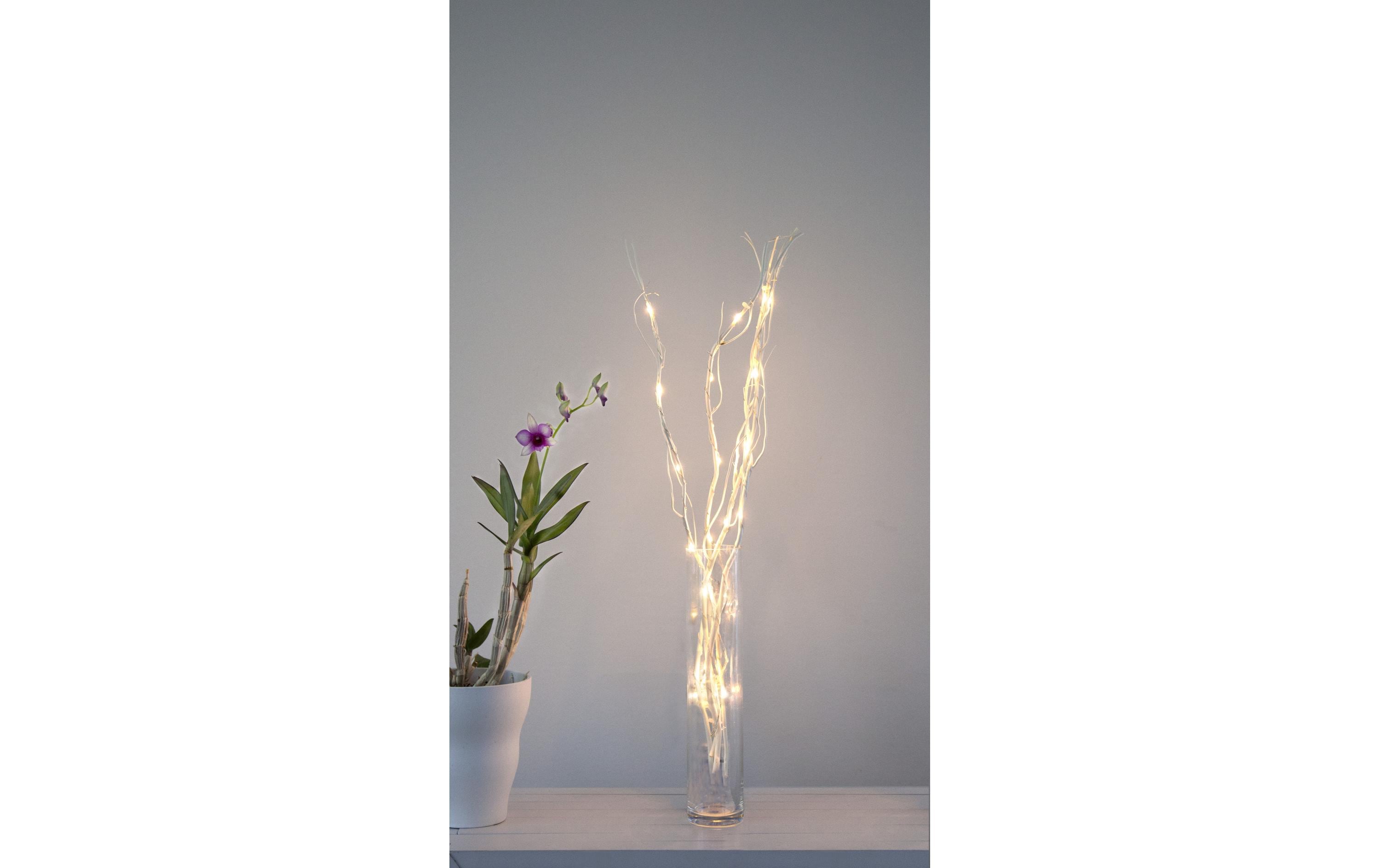Star Trading Zweig Willow Dewdrop, 24 LEDs, 60 cm, Natur