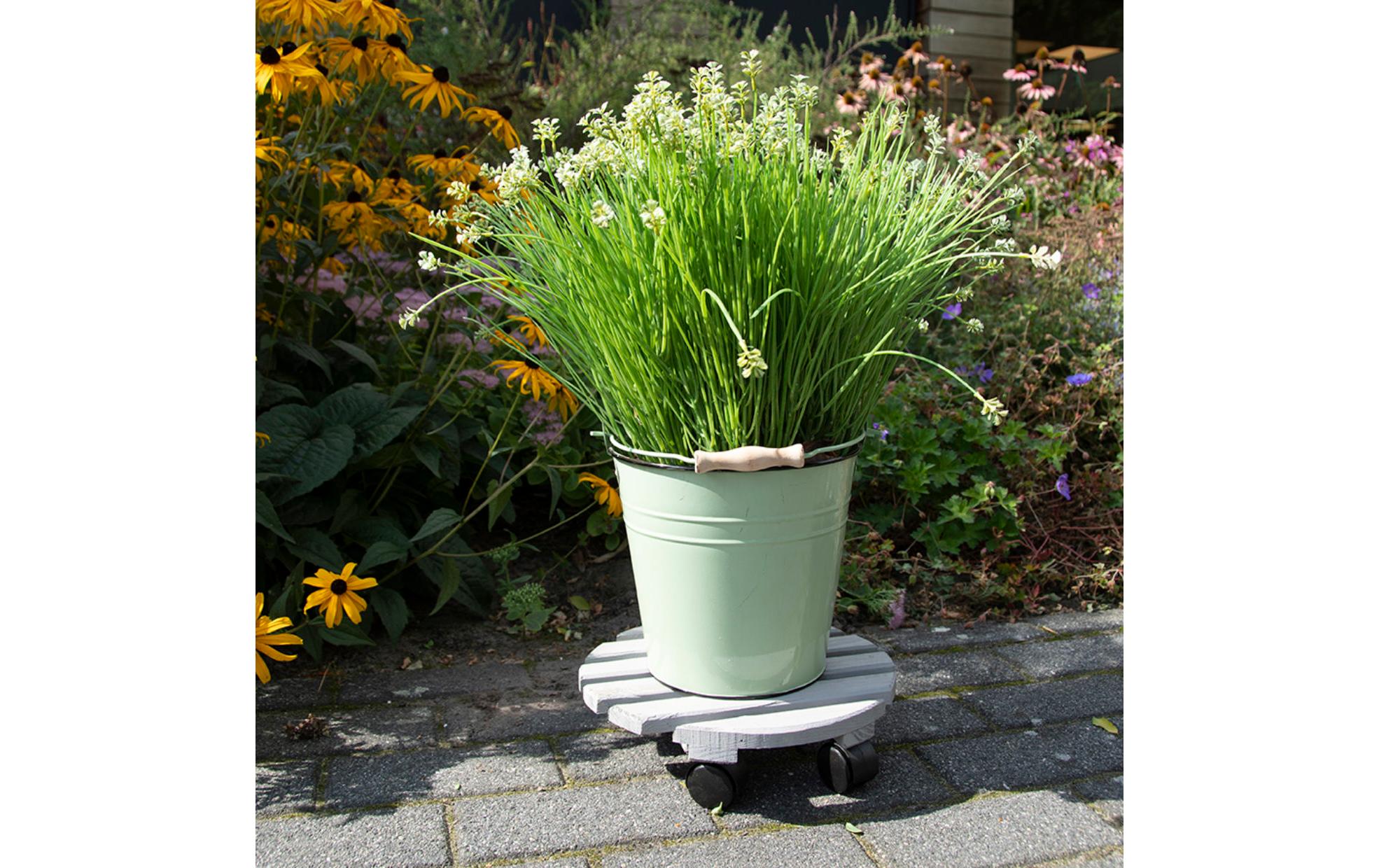 Esschert Design Rolleruntersetzer Rund L Grau/Schwarz