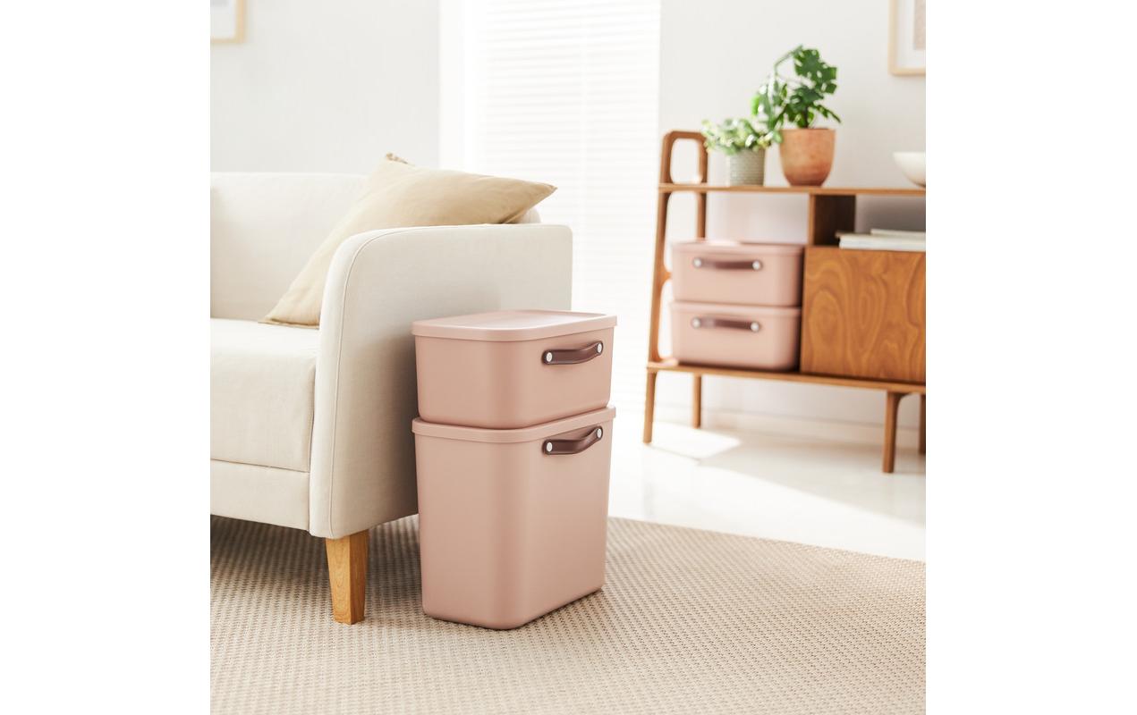 Rotho Aufbewahrungsbox Maloja 25 l, Meadow Rose