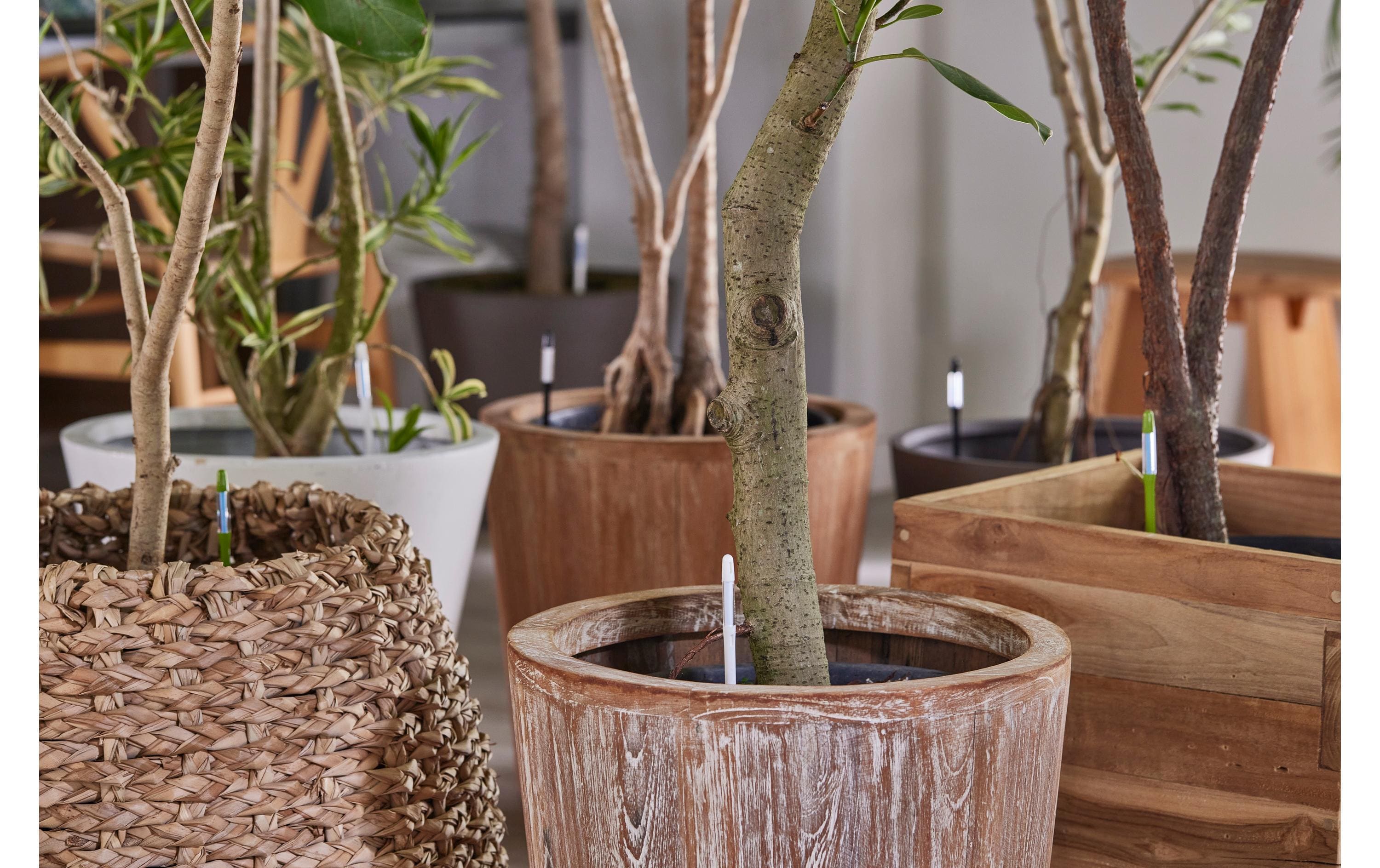 SUStee SUSTEE Einzelpack Giessanzeiger L Weiss Weiss