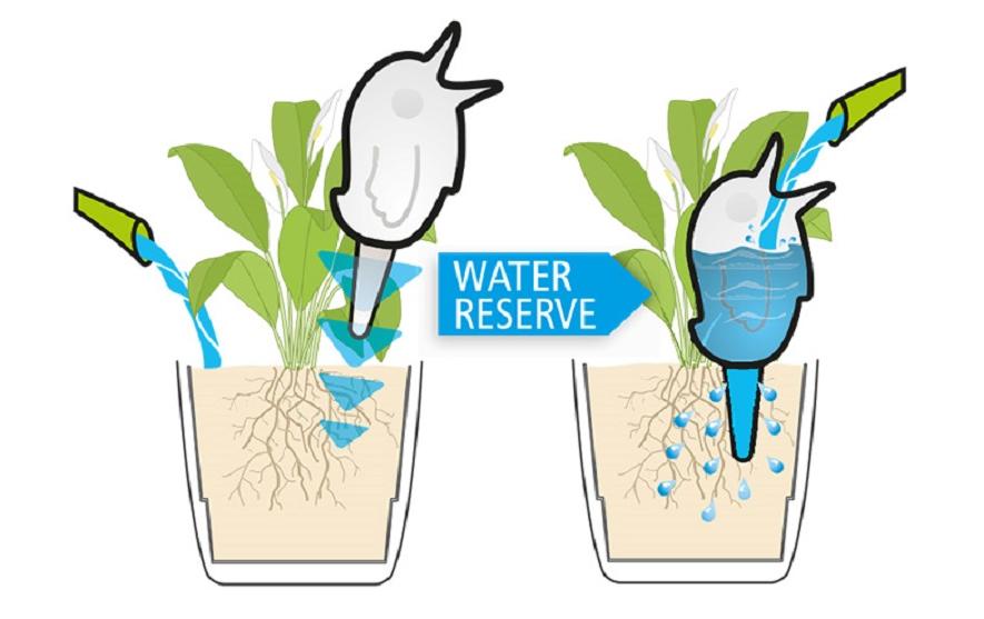 scheurich Wasserspender Bördy XXL Grün