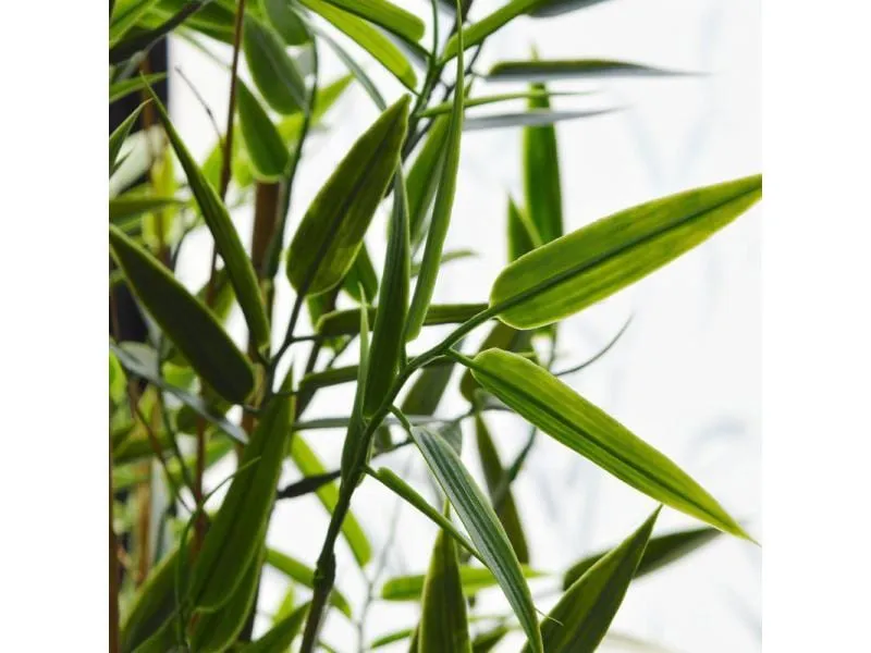 Botanic-Haus Kunstpflanze Bambus Japanisch, 60 cm, UV-Beständig