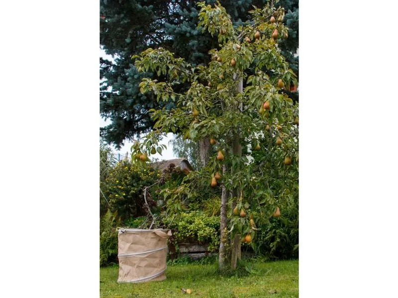 Colibri Allzweckbehälter Pop-up Jute 172 l, D56xH70 cm Colibri Allzweckbehälter Pop-up Jute 172 l, D56xH70 cm