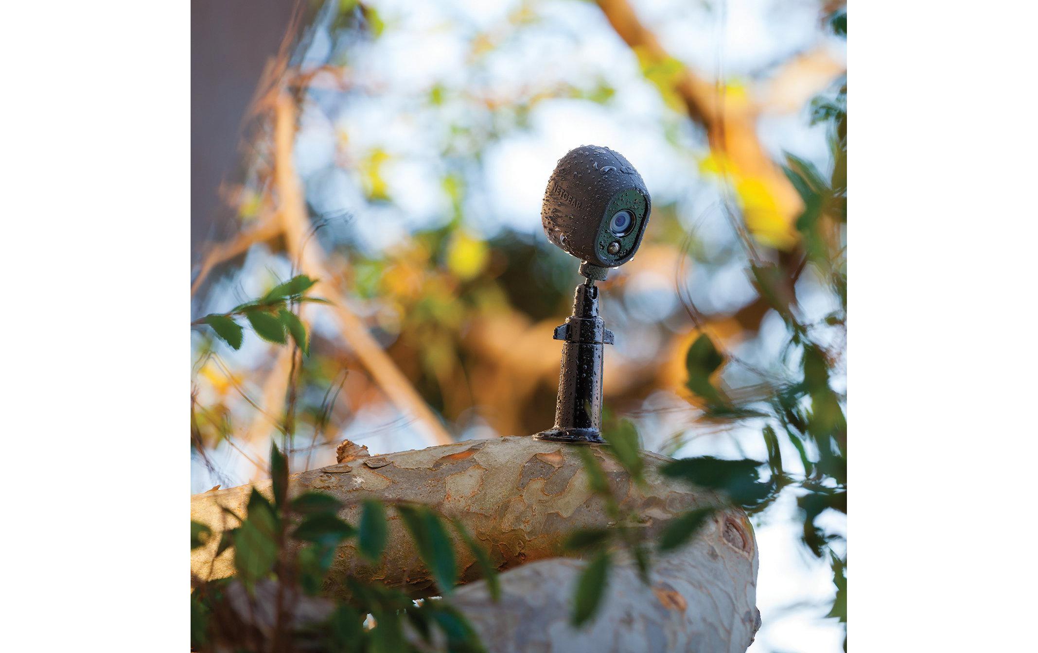 Arlo Decken- & Wandhalterung VMA1000B-10000S Schwarz 1 Stück Arlo Decken- & Wandhalterung VMA1000B-10000S Schwarz 1 Stück