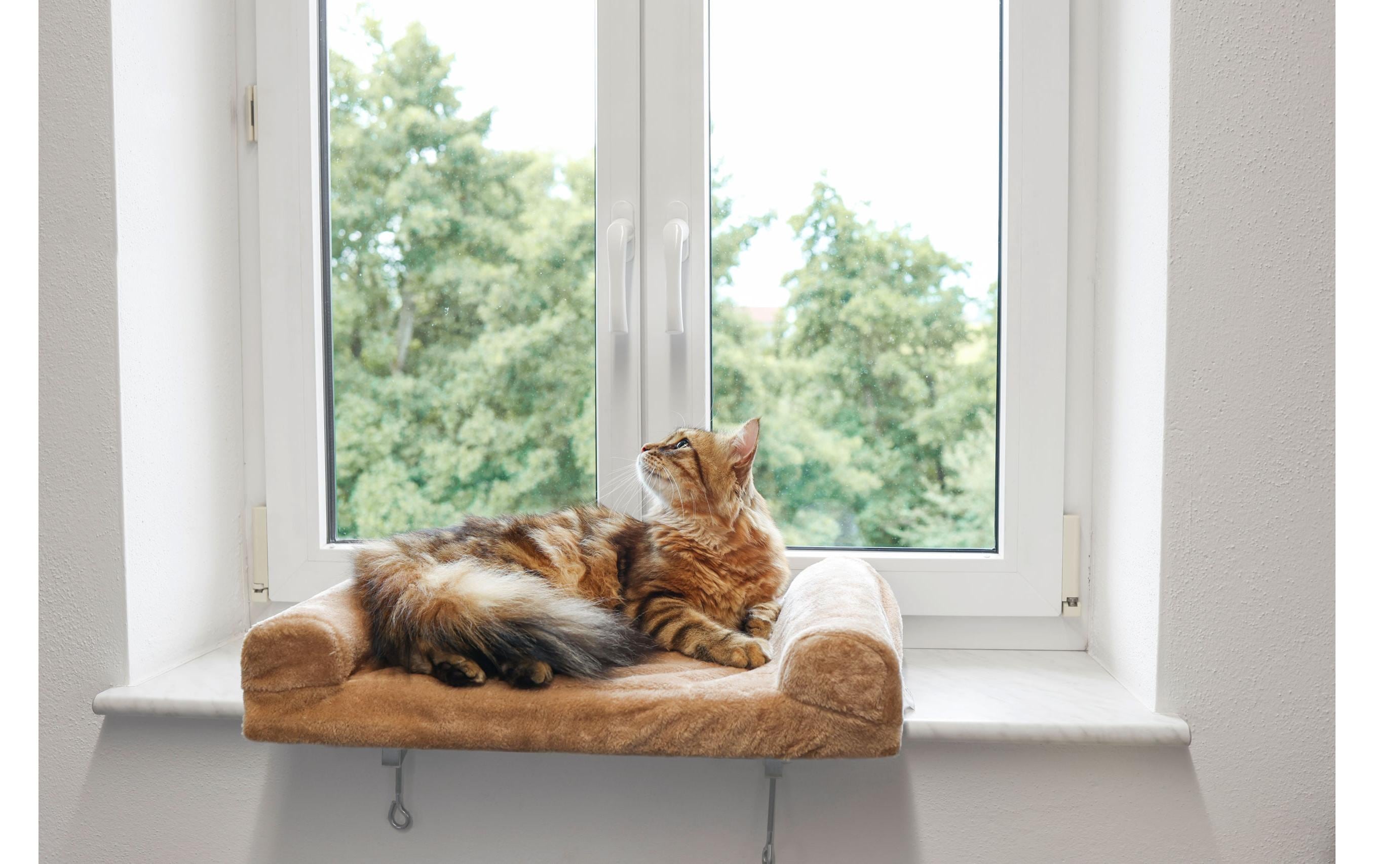 Kerbl Liegeplatz Fensterliegebrett 55 x 35 cm