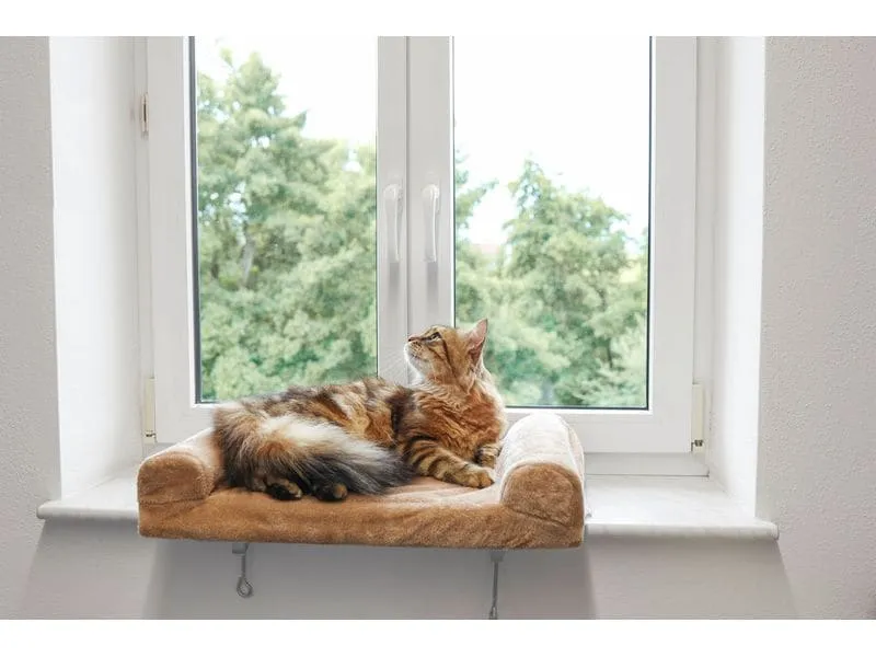 Kerbl Liegeplatz Fensterliegebrett 55 x 35 cm