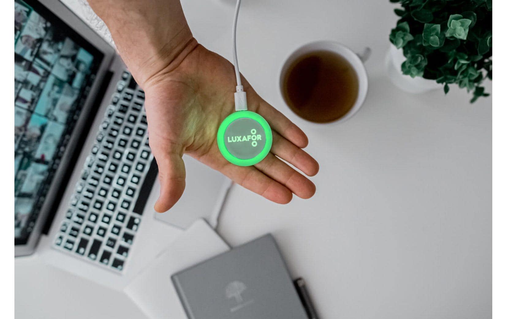 Luxafor Smart Button mit 1.5 m USB-C Kabel