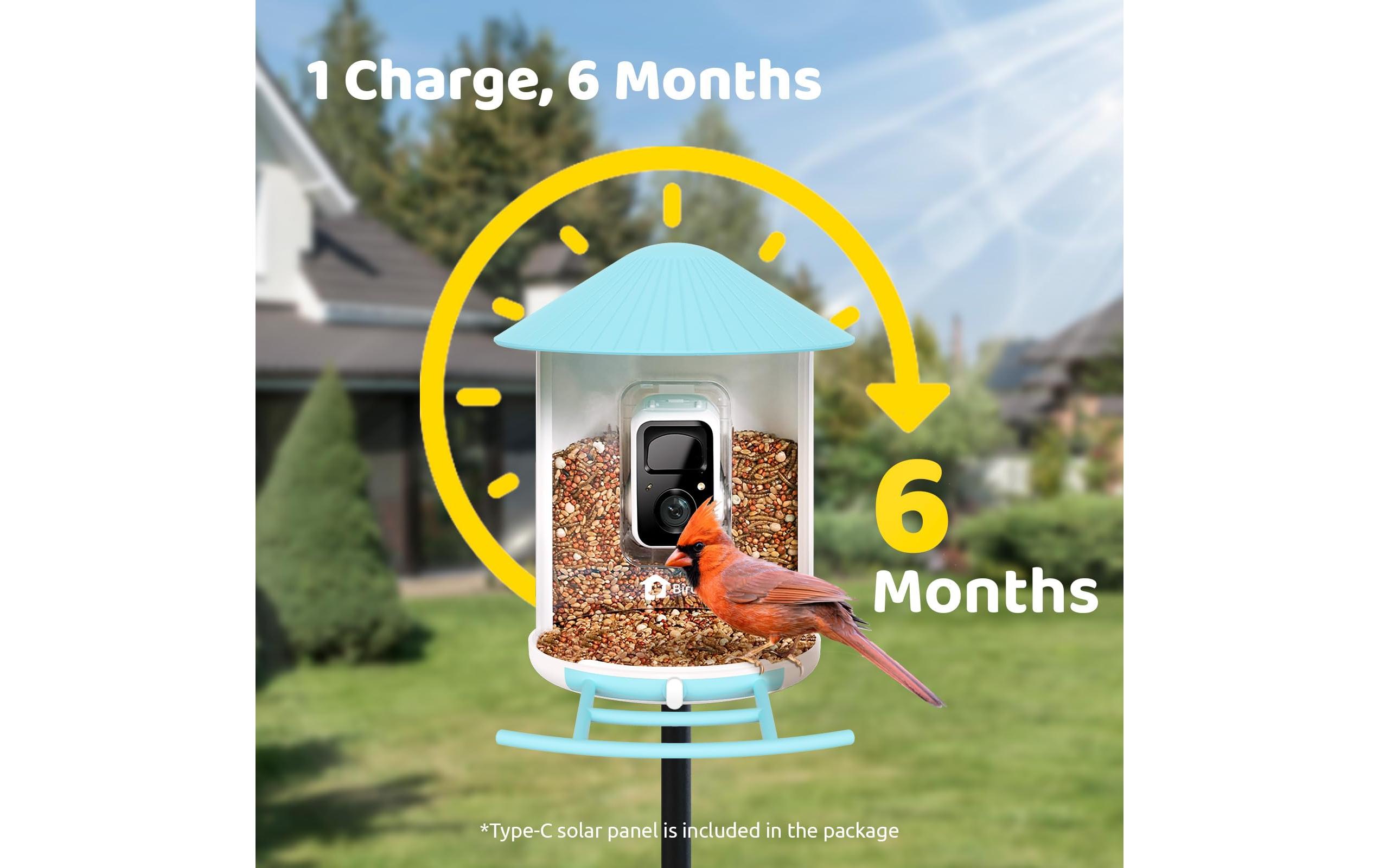 Birdfy Futterspender Basic Solar