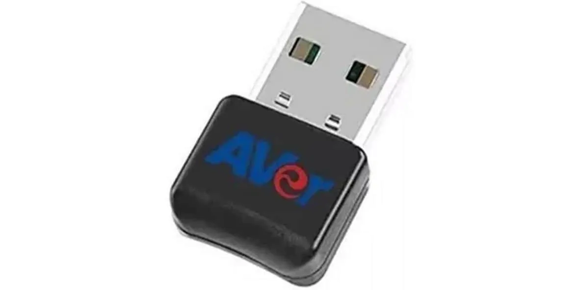 AVer BT Dual-Band-Wireless-Dongle USB Typ A