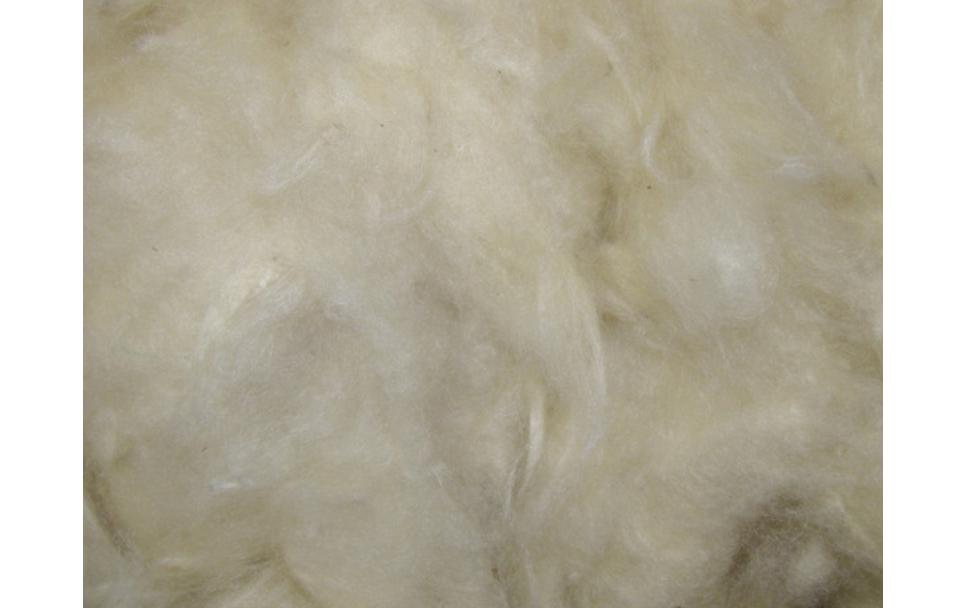 Nobby Kapokwolle 50 g Nobby Kapokwolle 50 g