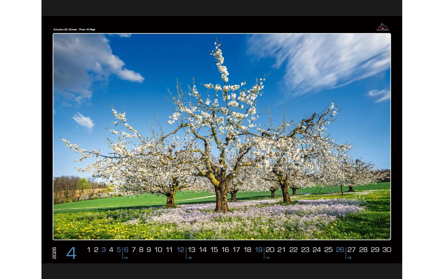 Calendaria Kalender Planet Earth 2026 Calendaria Kalender Planet Earth 2026