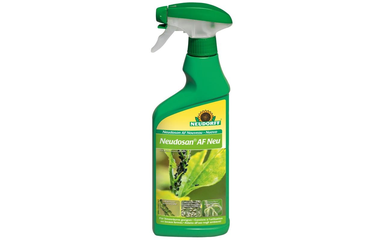Neudorff Insektizid Neudosan AF Neu Blattlausfrei, 500 ml Neudorff Insektizid Neudosan AF Neu Blattlausfrei, 500 ml