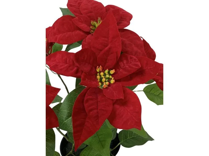 Botanic-Haus Kunstblume Weihnachtsstern Rot Botanic-Haus Kunstblume Weihnachtsstern Rot
