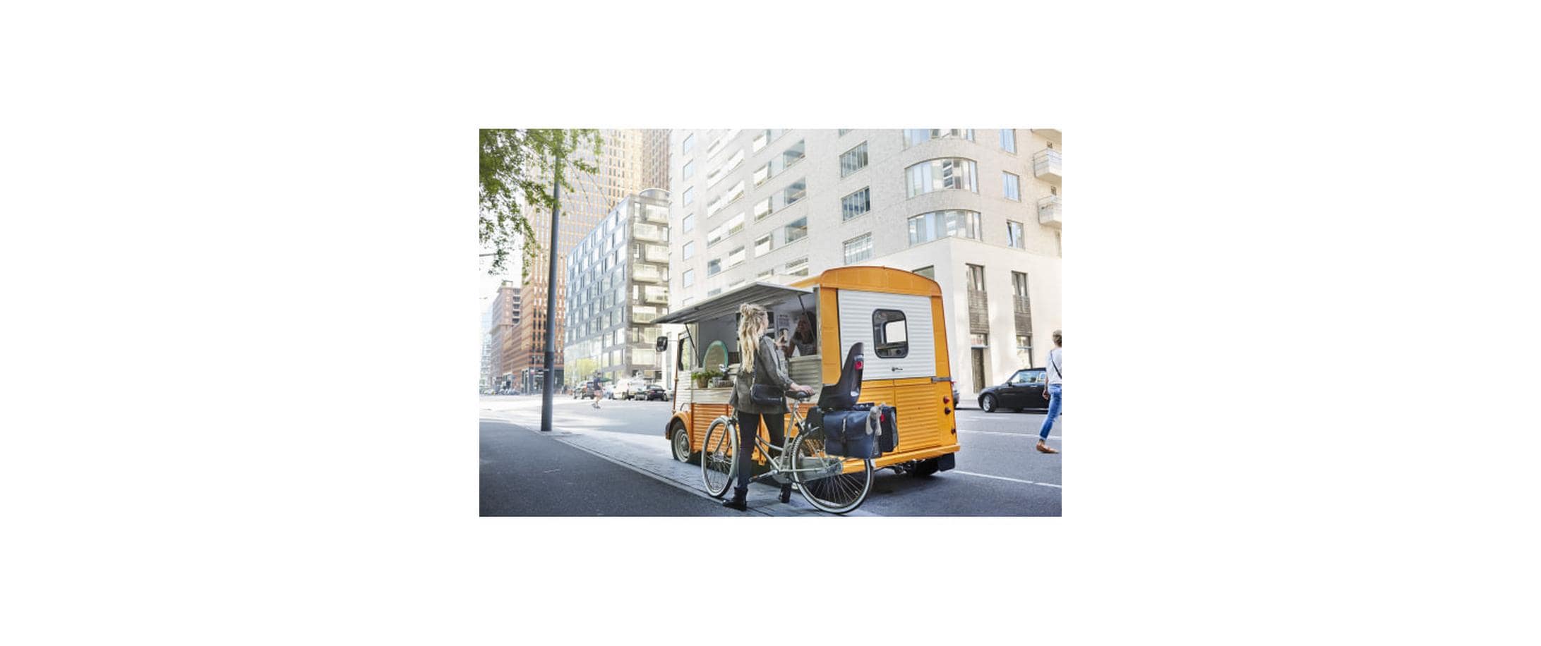 BASIL Gepäckträgerverlängerung BASIL Gepäckträgerverlängerung