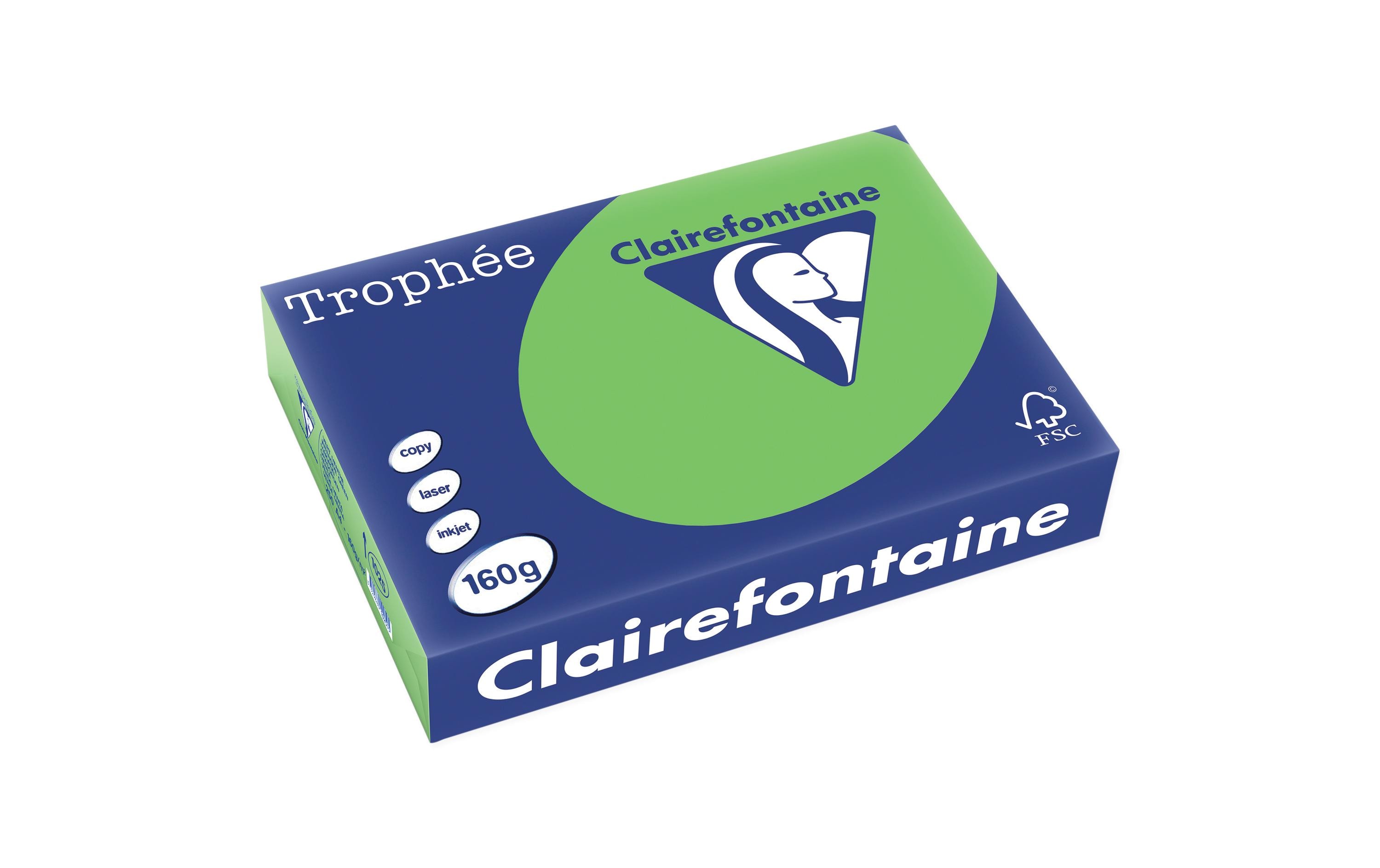 Clairefontaine Kopierpapier Trophée Colored Copy FSC A4, Grün, 160 g/m²