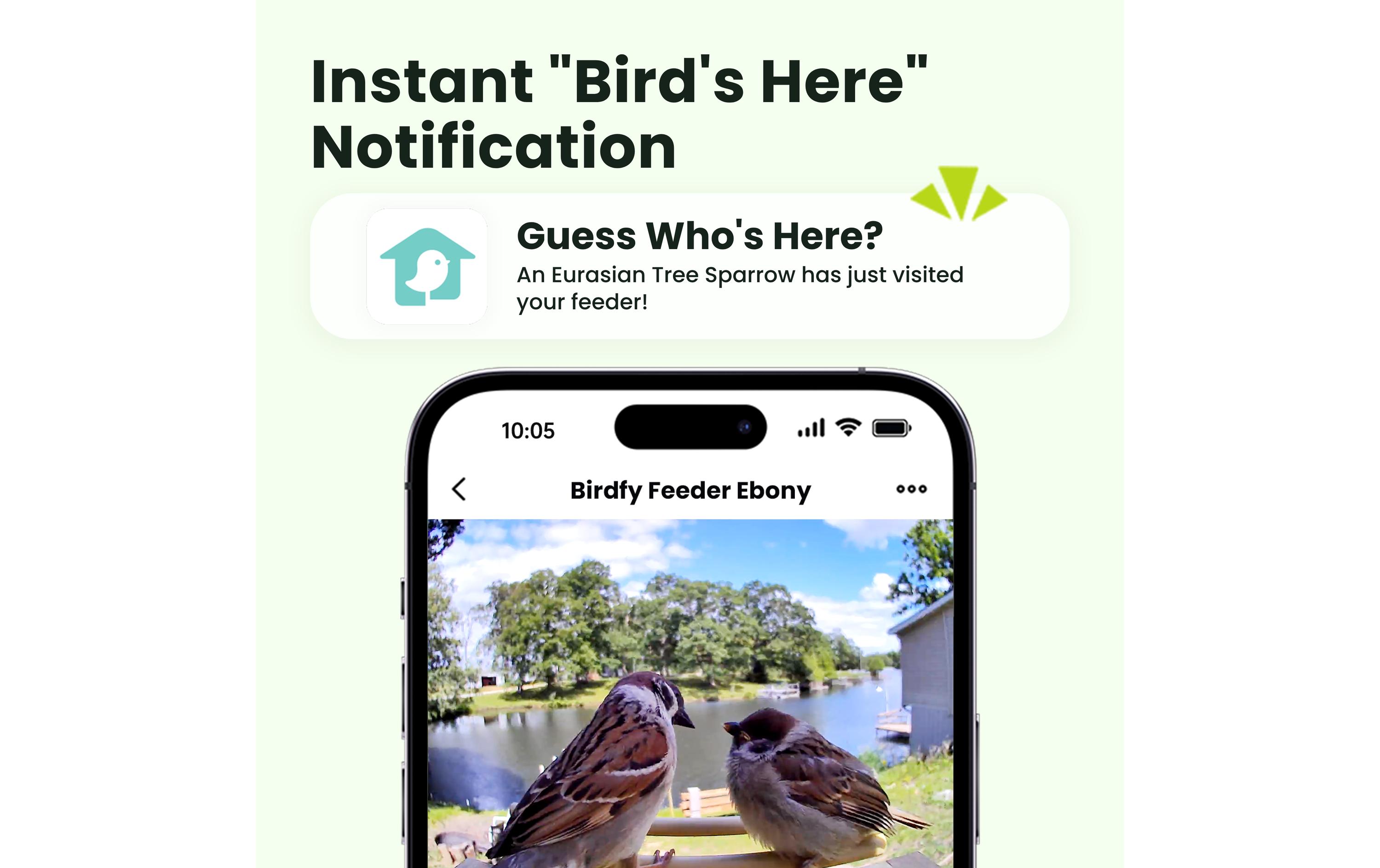Birdfy FSC Vogelfutterhaus mit AI-Kamera