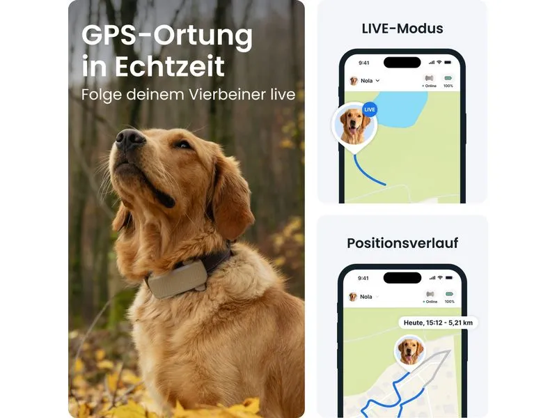 tractive Tractive DOG 6 XL – brown braun, für grosse Hunde ab 20 kg