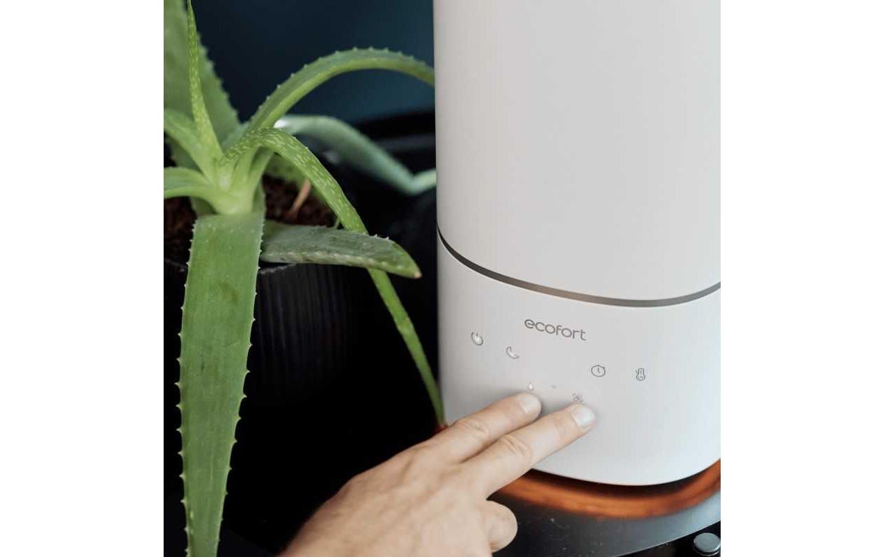 Ecofort Luftbefeuchter ecoQ HumidAir U400+ 55 m²