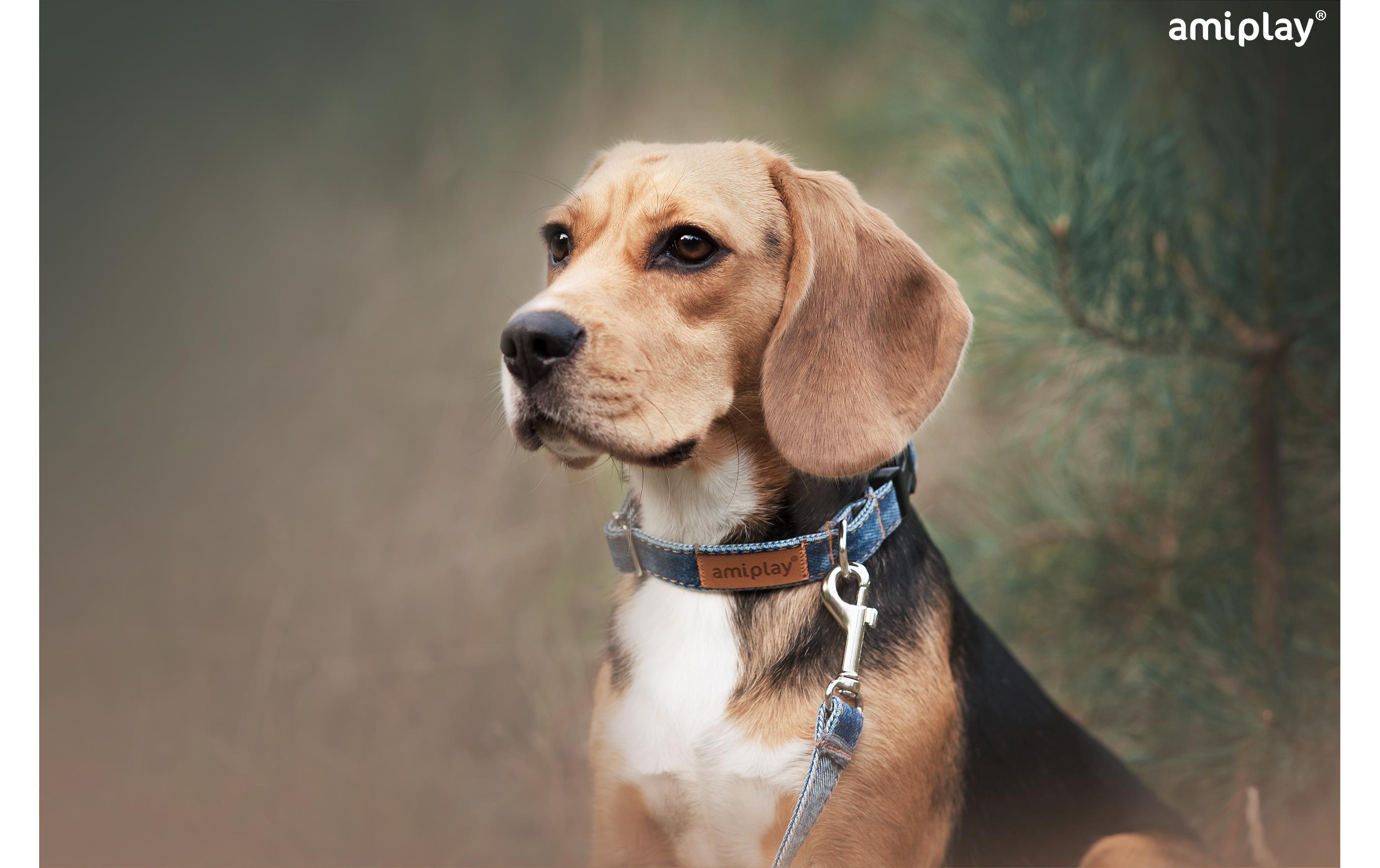 amiplay Halsband Denim, Hellblau amiplay Halsband Denim, Hellblau