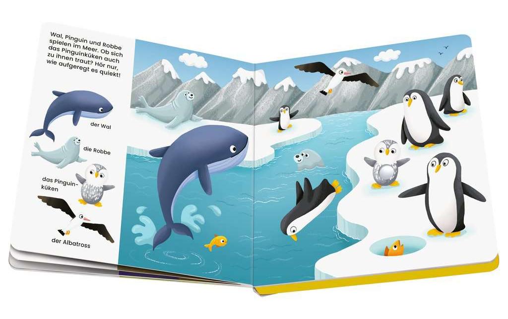 play+ Mein allererstes Soundbuch: Tierkinder