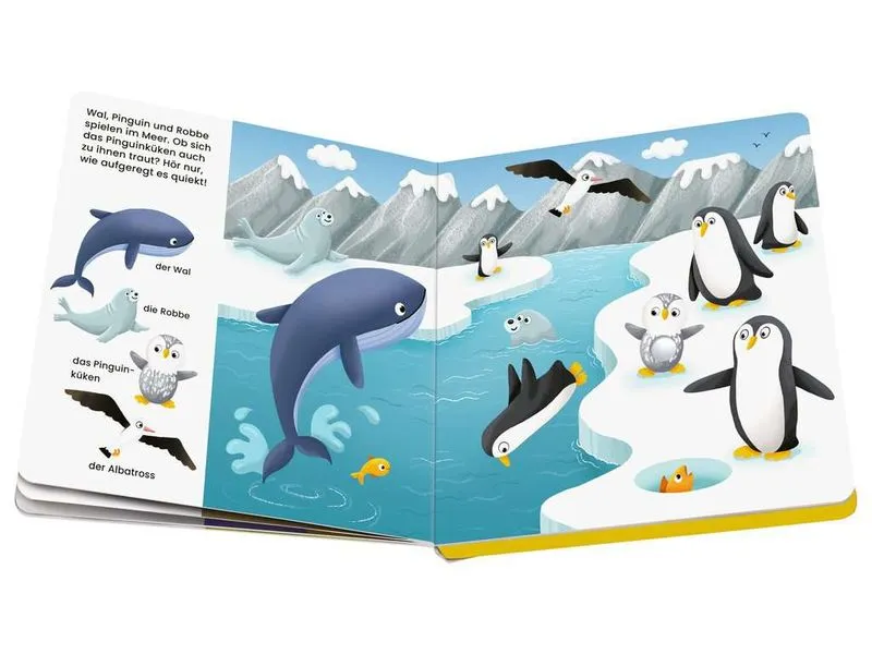 play+ Mein allererstes Soundbuch: Tierkinder play+ Mein allererstes Soundbuch: Tierkinder