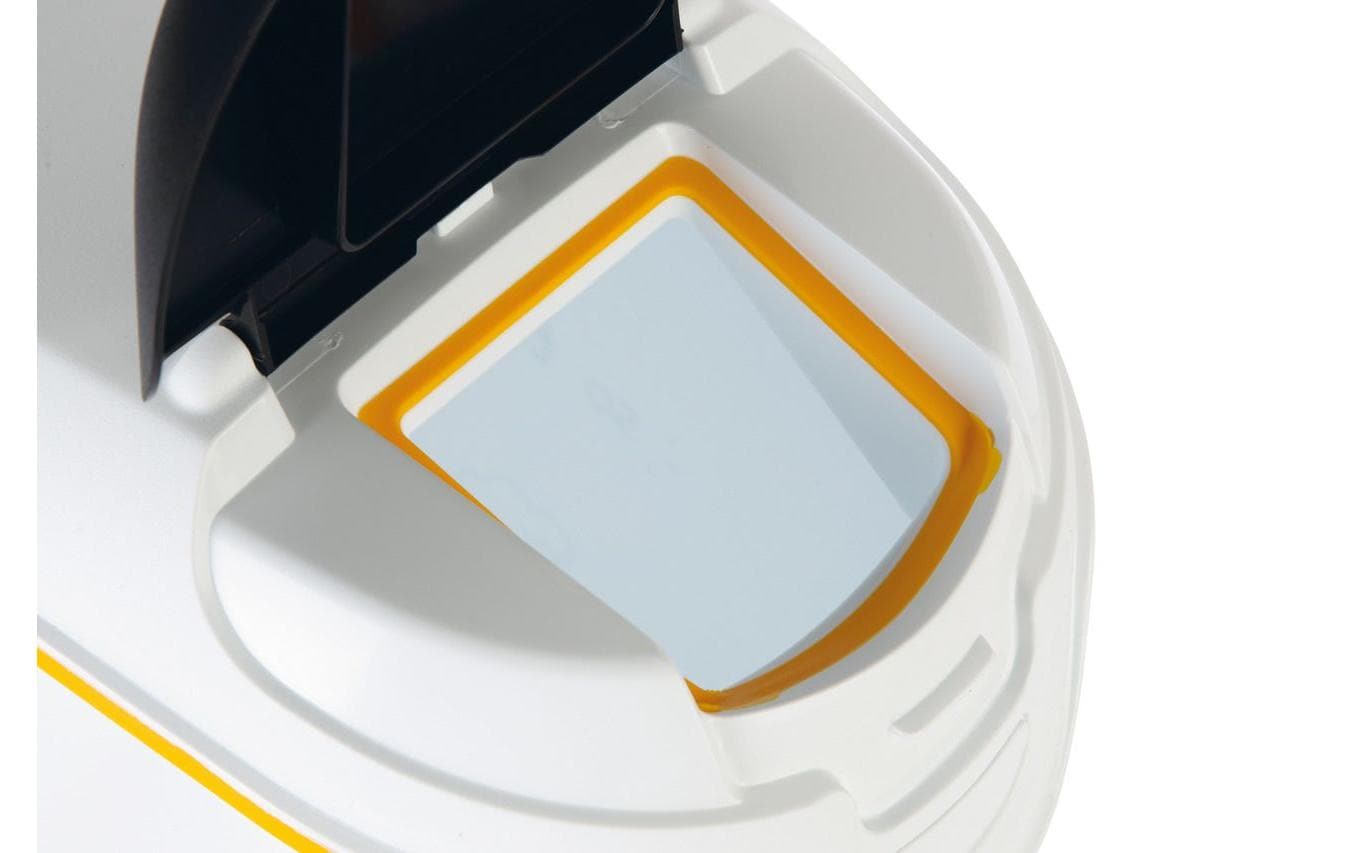 Curver Futtercontainer Hund Dinner is served 54 l