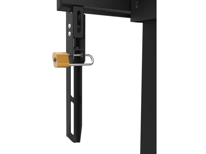 NEOMOUNTS TV-Trolley FL55-875BL1 Schwarz