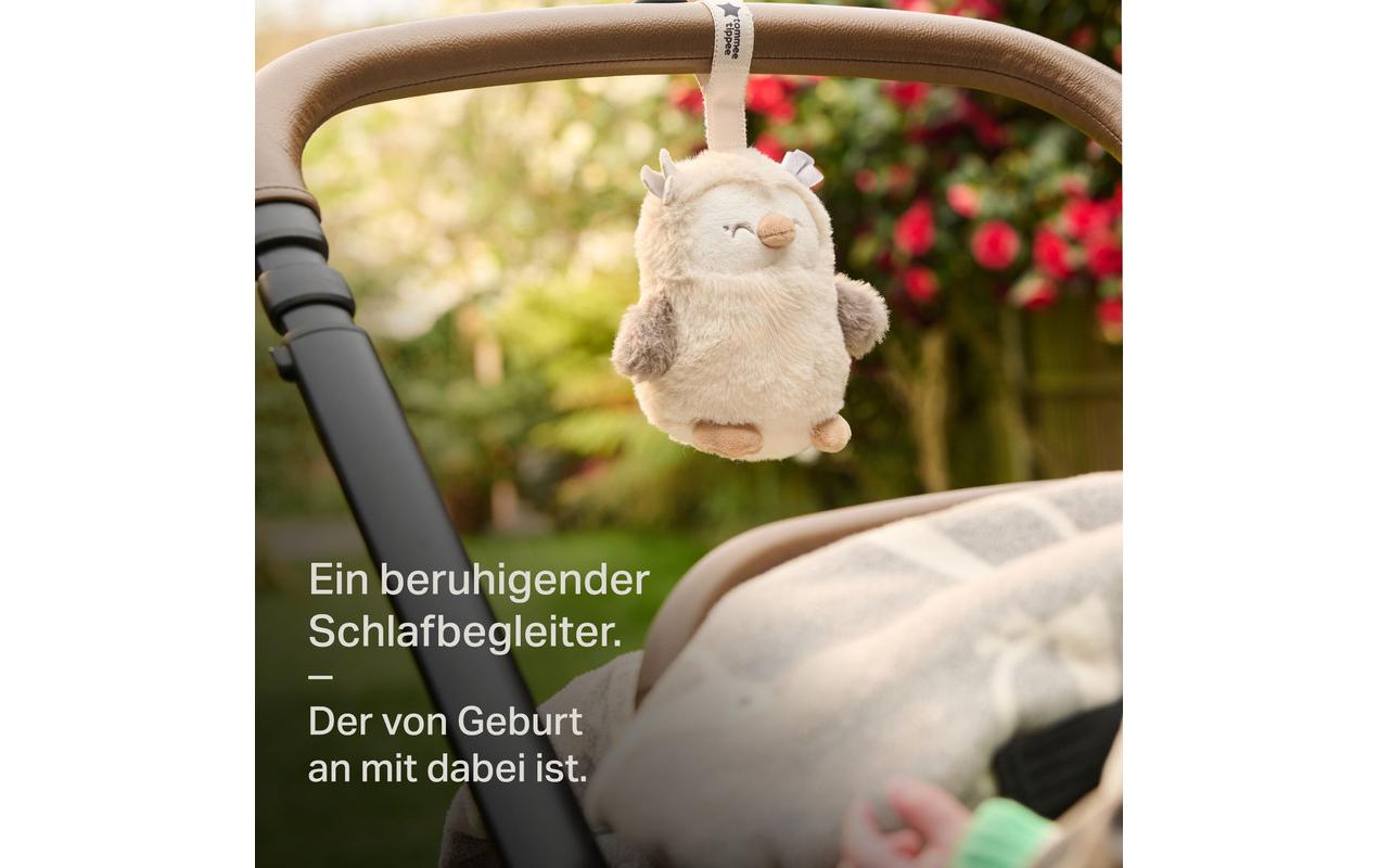 Tommee Tippee Mini Einschlafhilfe Eule