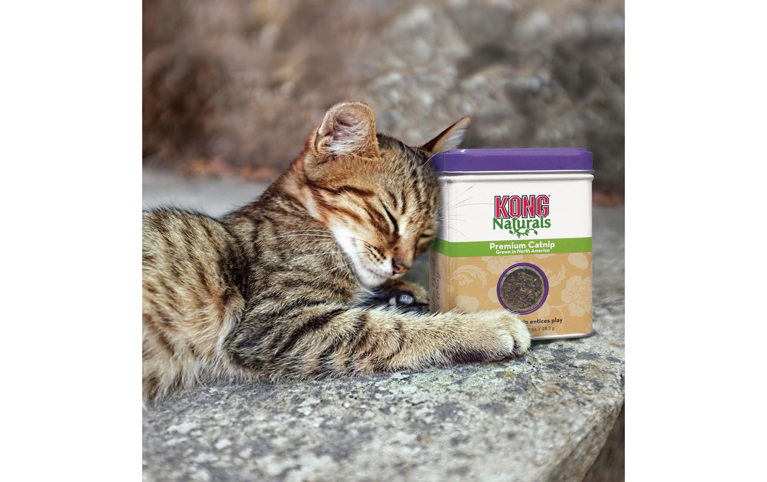 Kong Nachfüller Naturals Catnip 56 g Kong Nachfüller Naturals Catnip 56 g