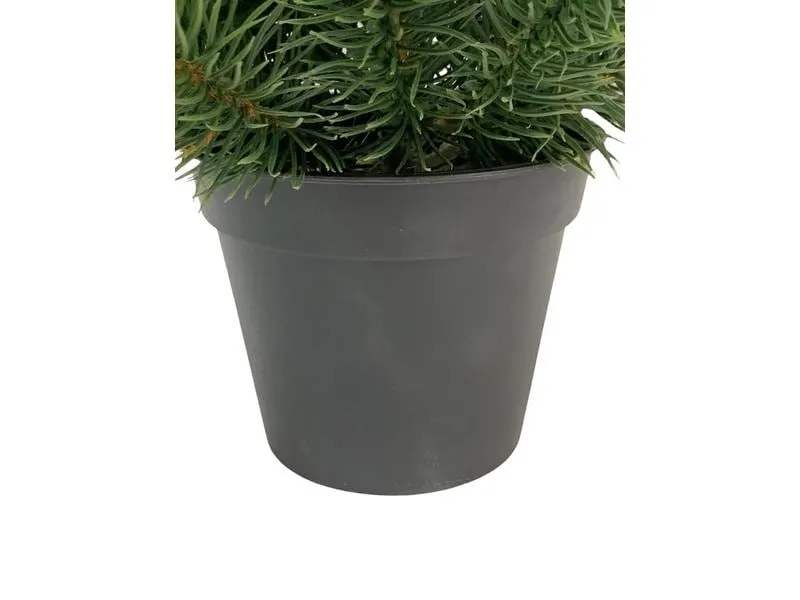 Botanic-Haus Weihnachtsbaum Tannenbaum im Topf, 51 cm