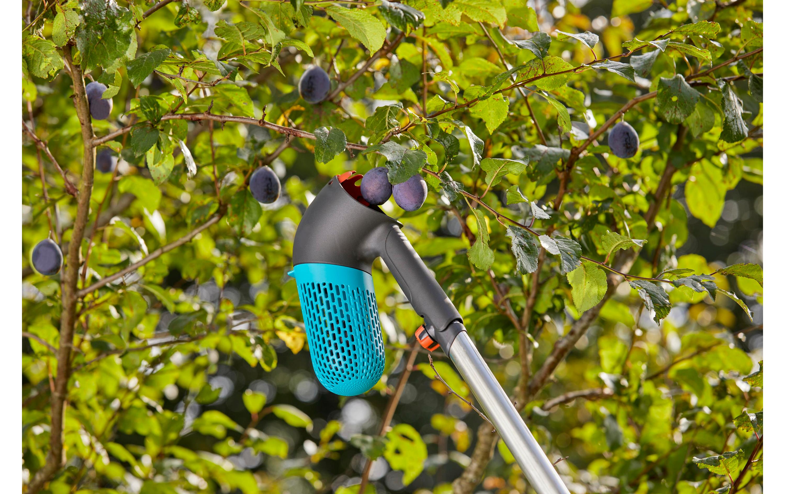 GARDENA Combisystem-Beerensammler