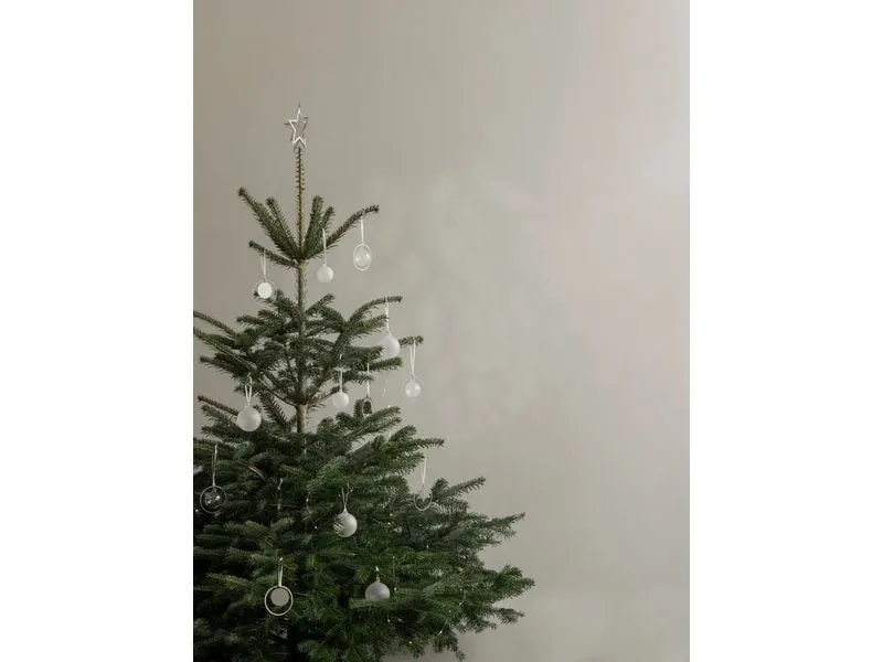 Blomus Weihnachtsschmuck Glaskugeln Transparent/Perlweiss