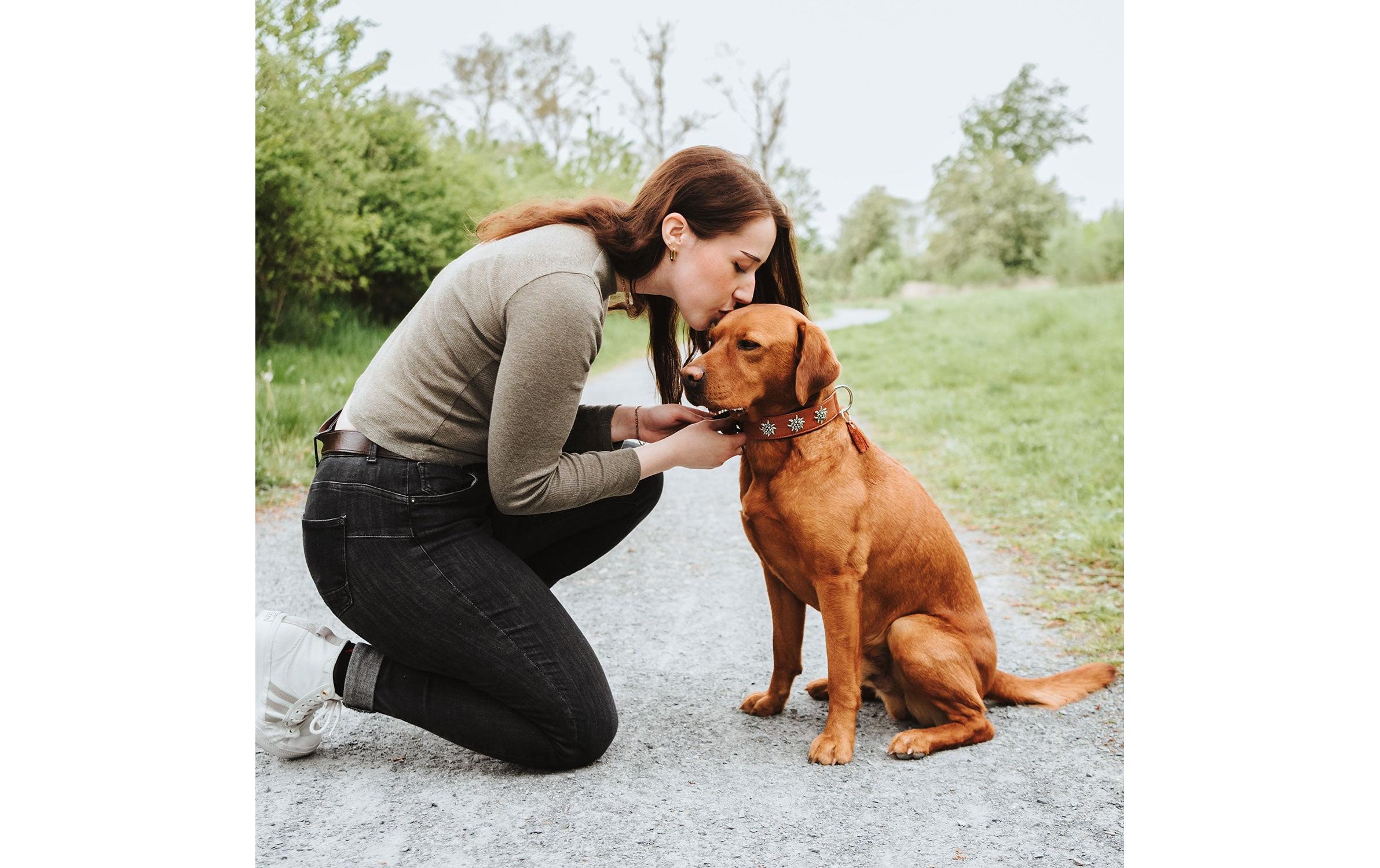 Hunter Halsband München 65/L, Rindsleder, Cognac/Schwarz