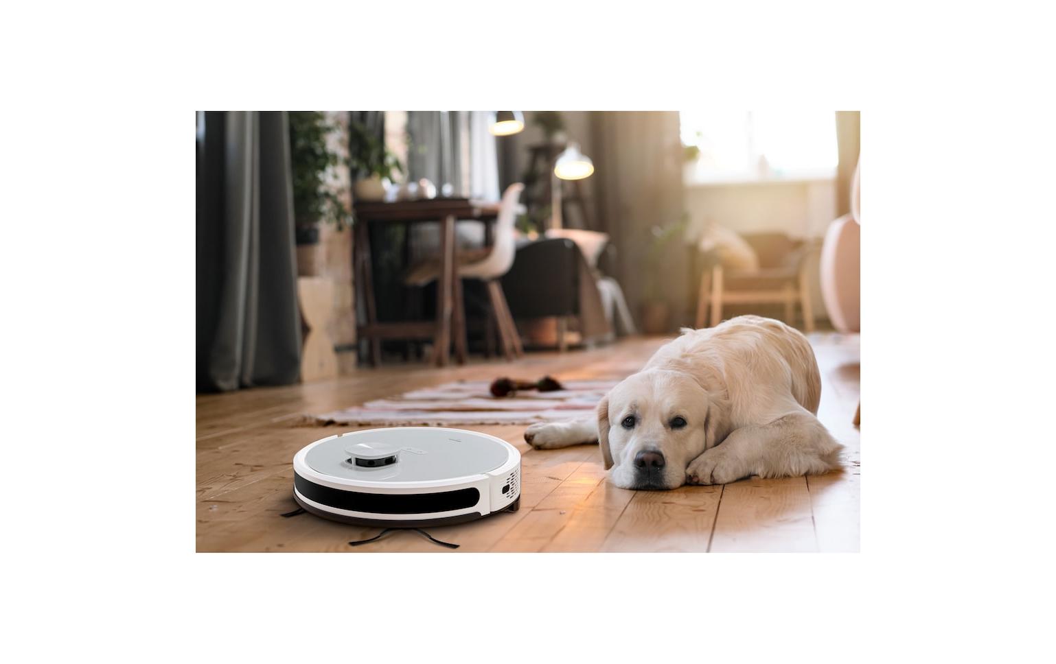 Medion Saug- und Wischroboter X21 mit Absaugstation