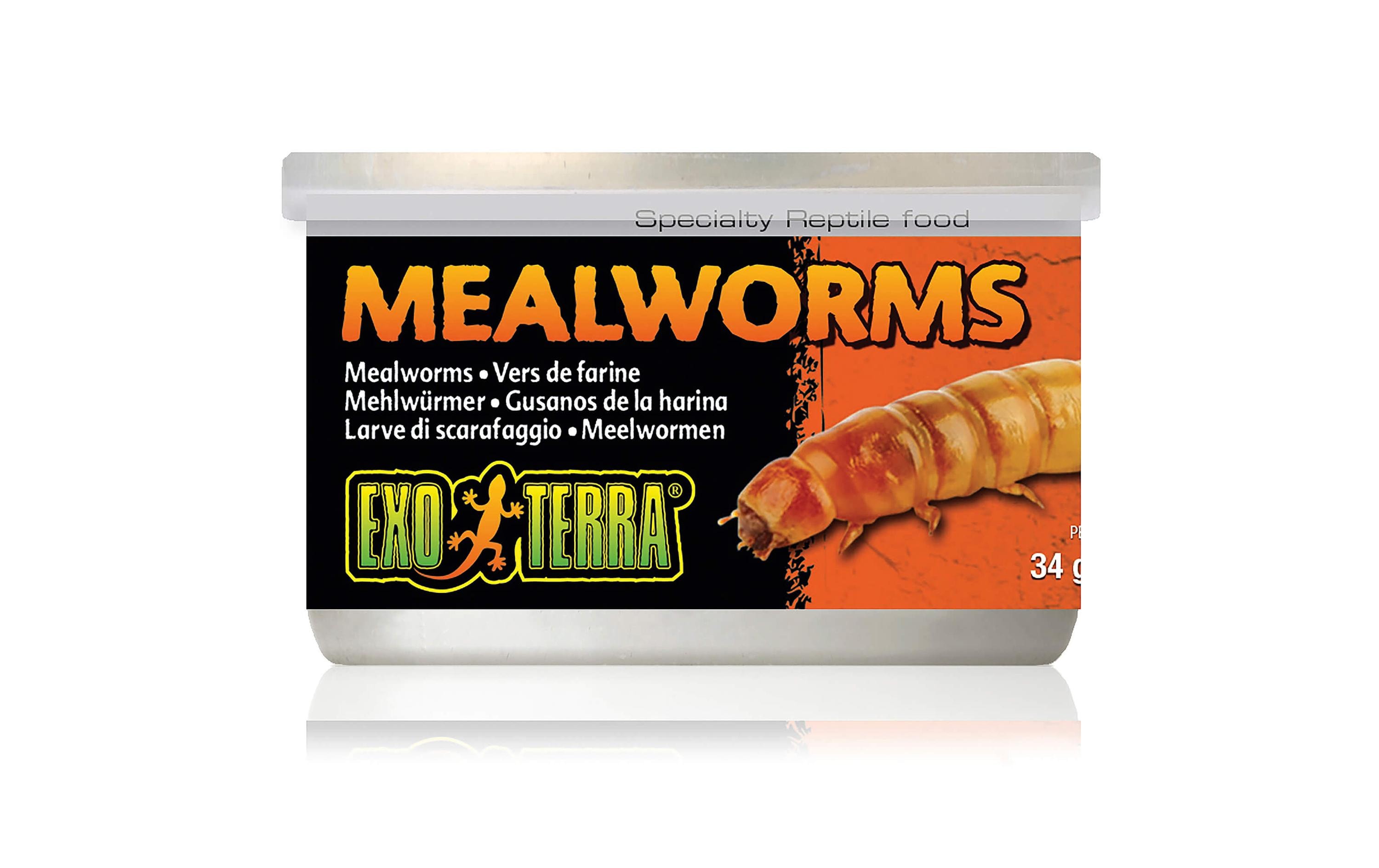 Exo Terra Dosenfutter Mealworms, 34 g Exo Terra Dosenfutter Mealworms, 34 g
