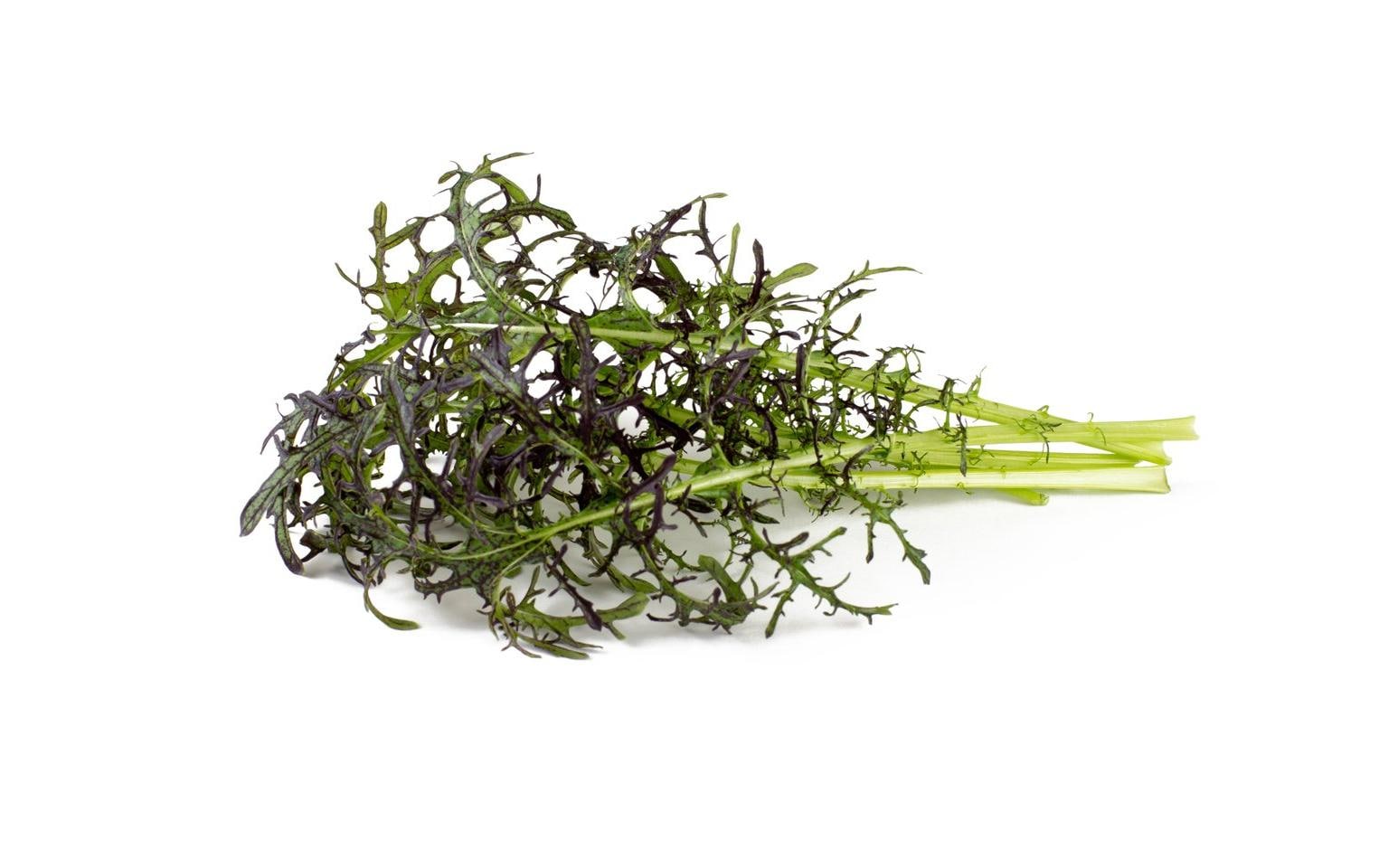 Click and Grow Samen Roter Rüschen-Senf, 3er-Pack Click and Grow Samen Roter Rüschen-Senf, 3er-Pack