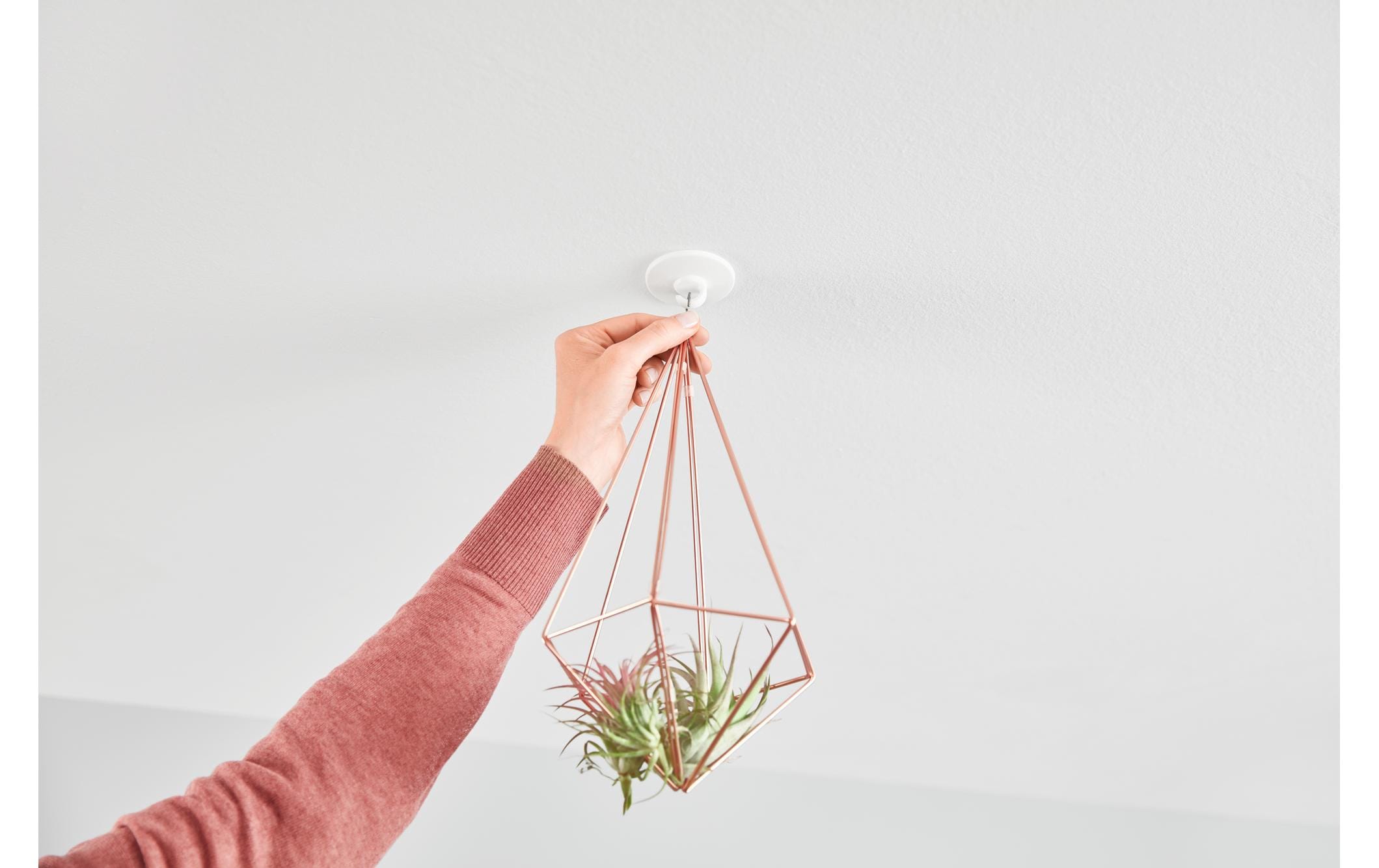 tesa Deckenhaken für Tapete & Putz 0.5 kg