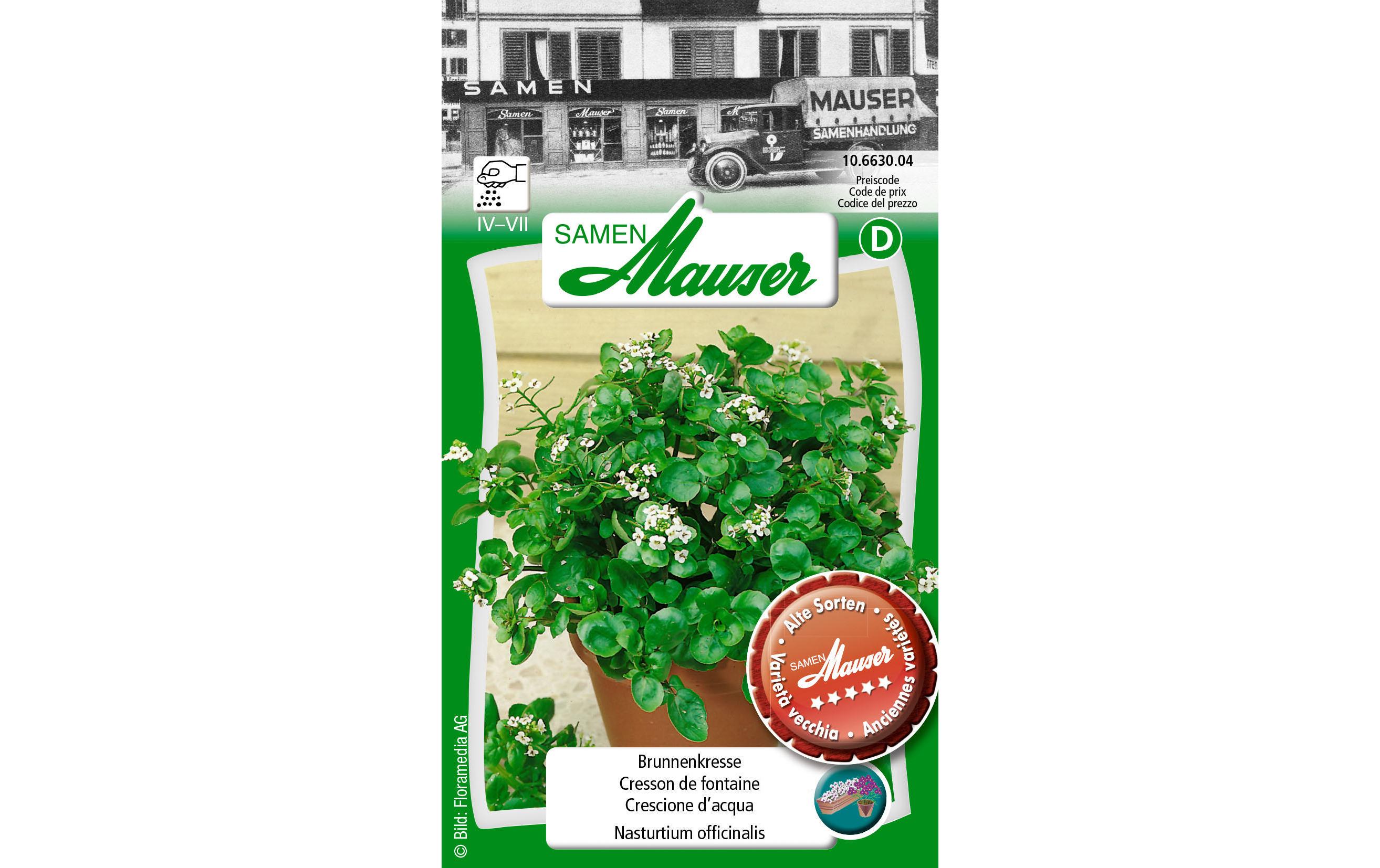 Samen Mauser Samen Alte Sorte Brunnenkresse